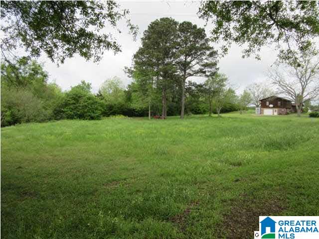 1872 County Road 53 Clanton, AL 35045 - Photo 30 of 31