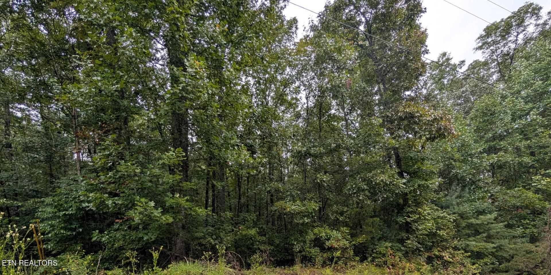 Catoosa Drive Lancing, TN 37770 - Photo 5 of 8 Lot