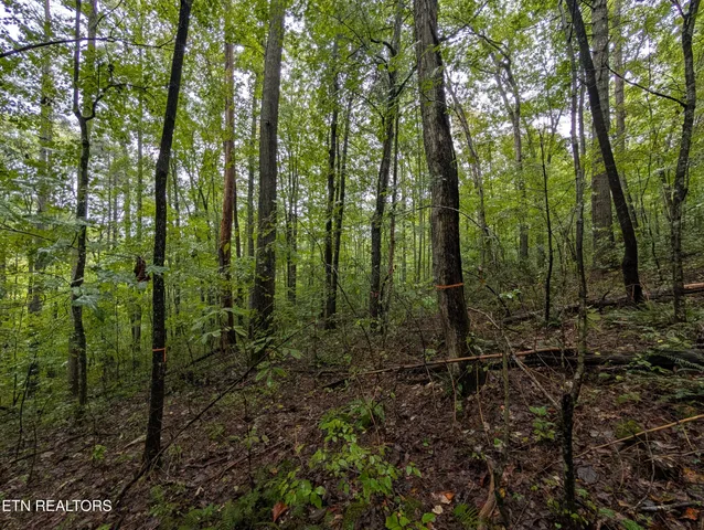 $32,000 | Catoosa Drive, Lancing, TN 37770