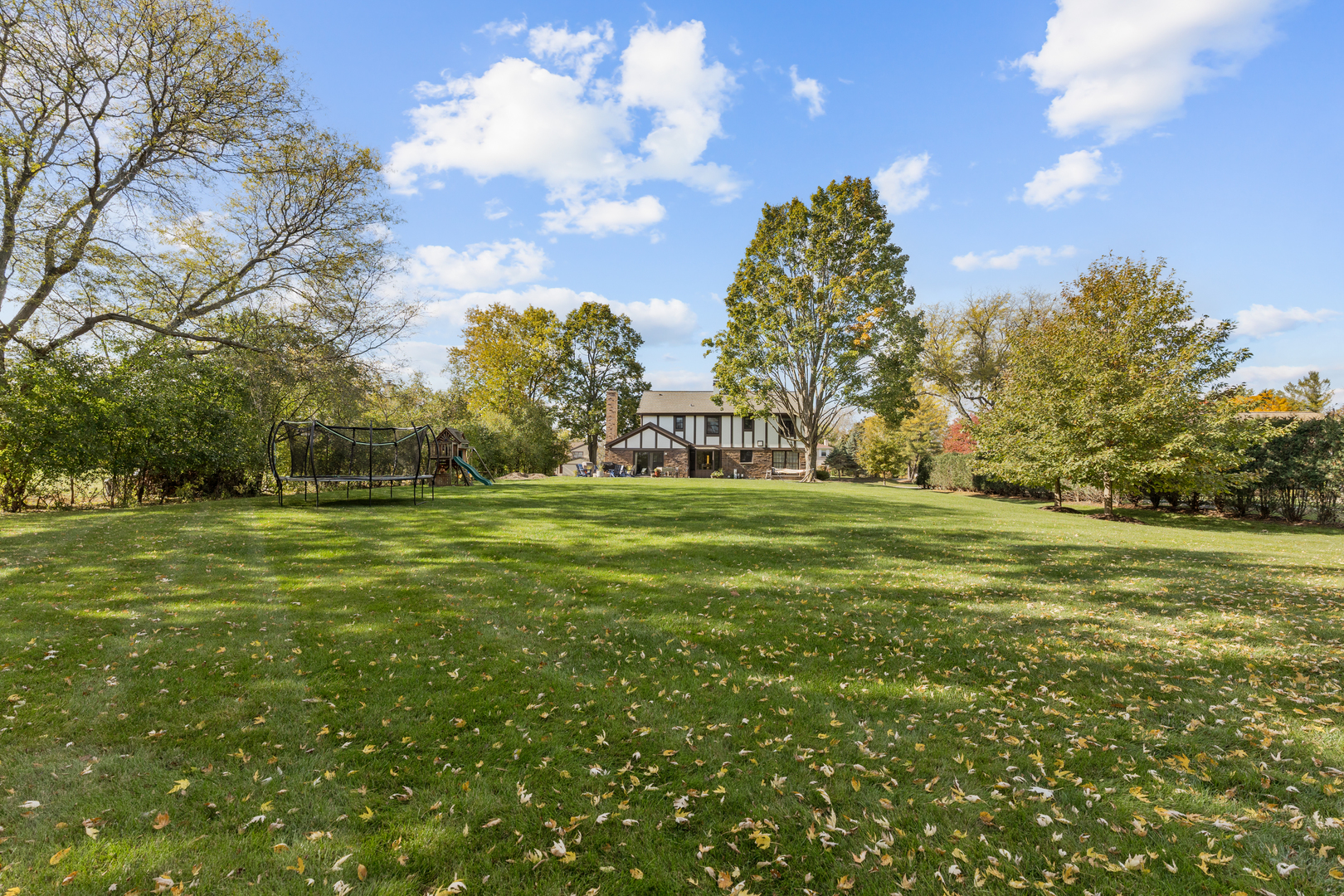 2544 Rfd Shenandoah Lane Long Grove, IL 60047 - Photo 5 of 10 a view of a green field