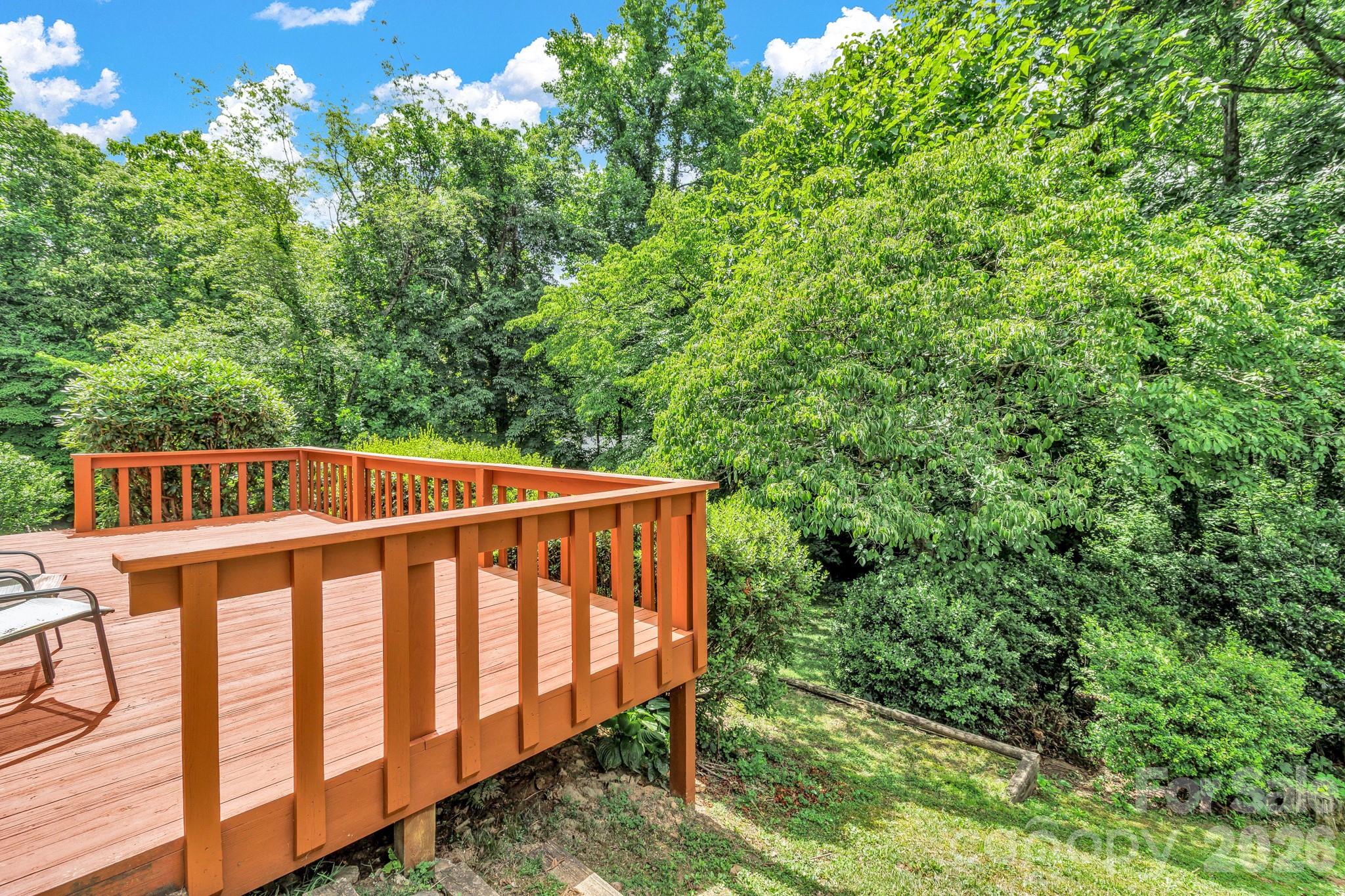 67 Wagon Road Asheville, NC 28805 - Photo 43 of 44