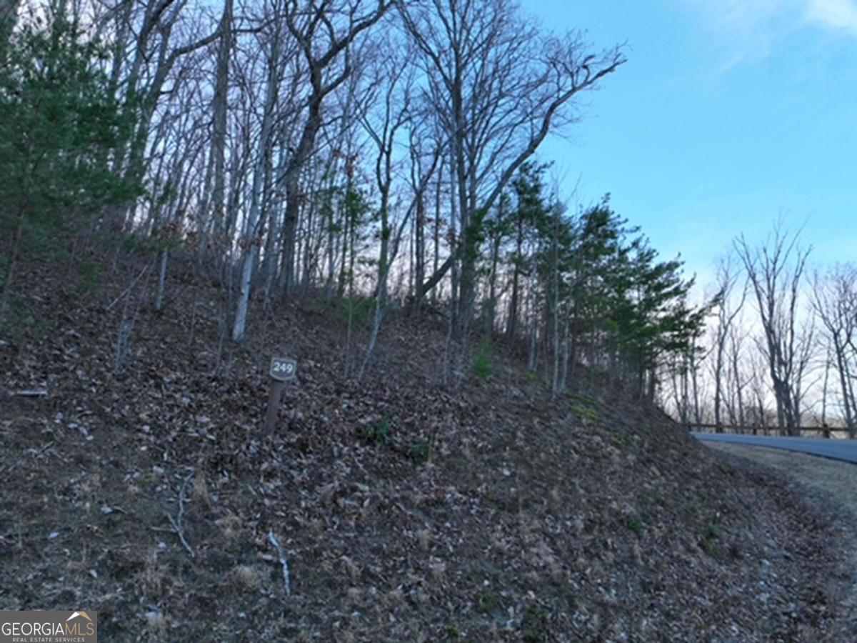 249 Andes Ridge Talking Rock, GA 30175 - Photo 8 of 20