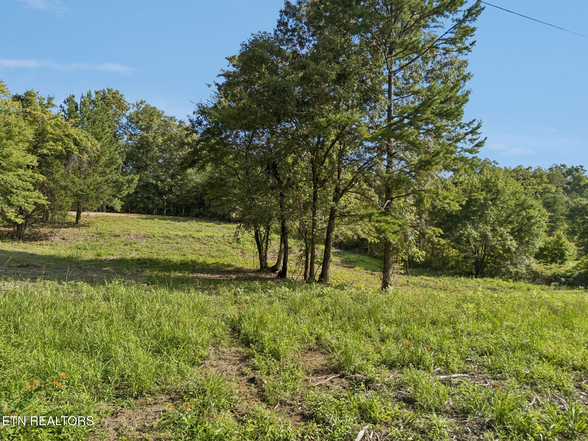 Sheep Ranch Rd Road Robbins, TN 37852 - Photo 17 of 26 4-1 Sheep Ranch Rd Lot 2 - 004