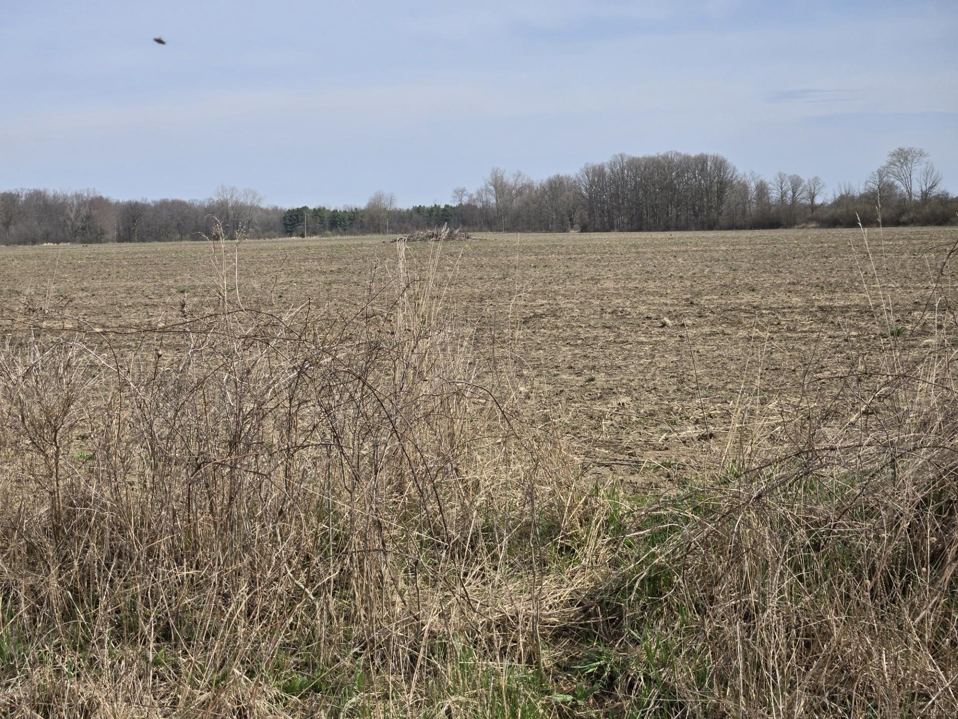 0 Weber (lot B) Road Columbus, MI 48063 - Photo 14 of 14