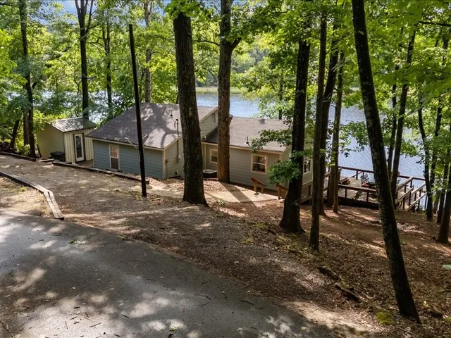 a view of a park with a tree