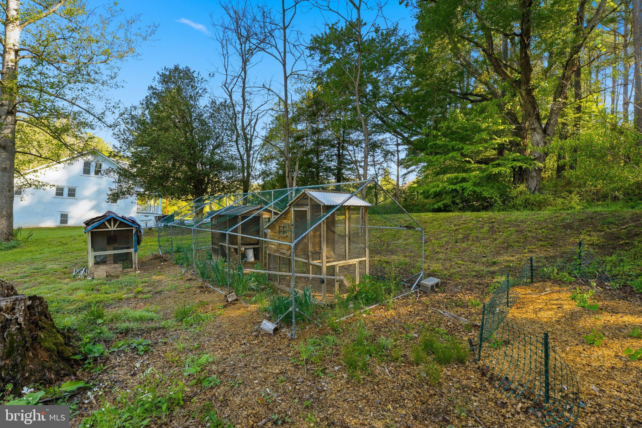 24 Sundown Lane Boston, VA 22713 - Photo 41 of 48 Charming garden retreat with coop