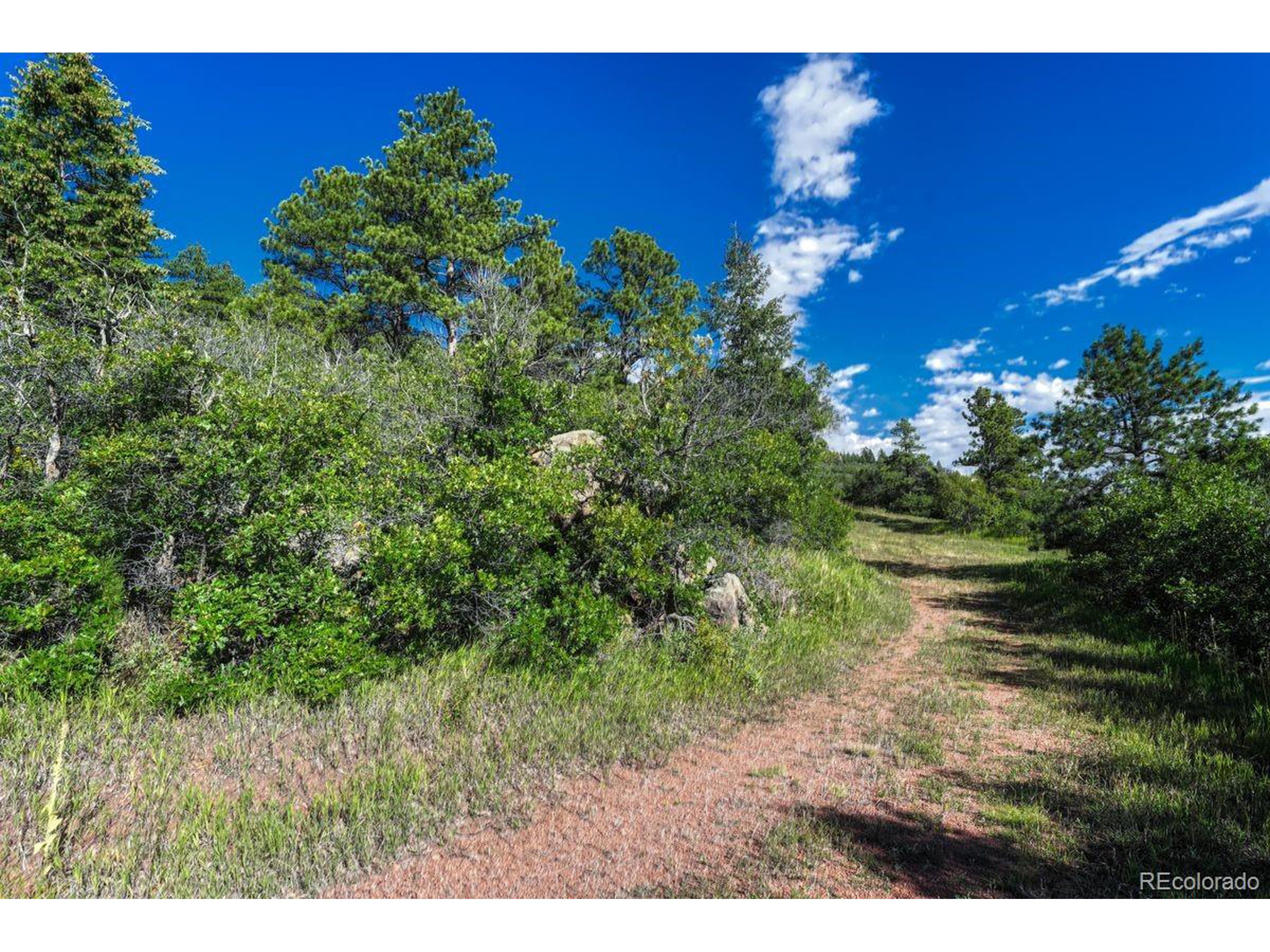 0 Columbine Road Palmer Lake, CO 80133 - Photo 11 of 37