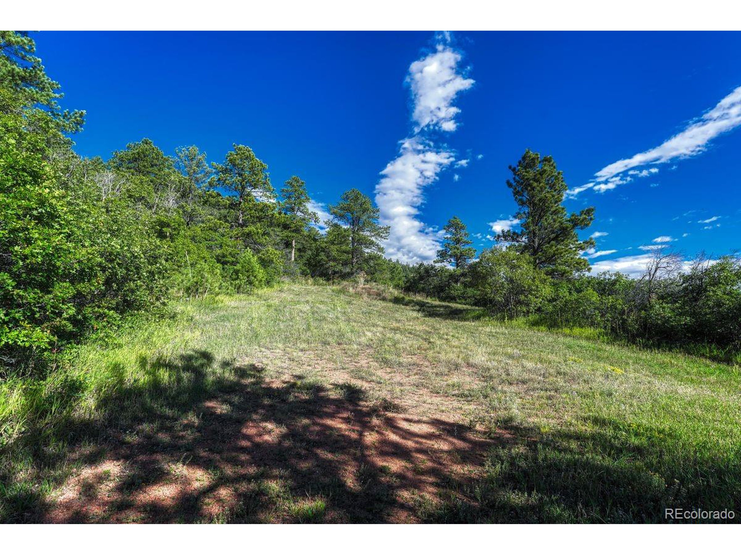0 Columbine Road Palmer Lake, CO 80133 - Photo 12 of 37 a view of a lake