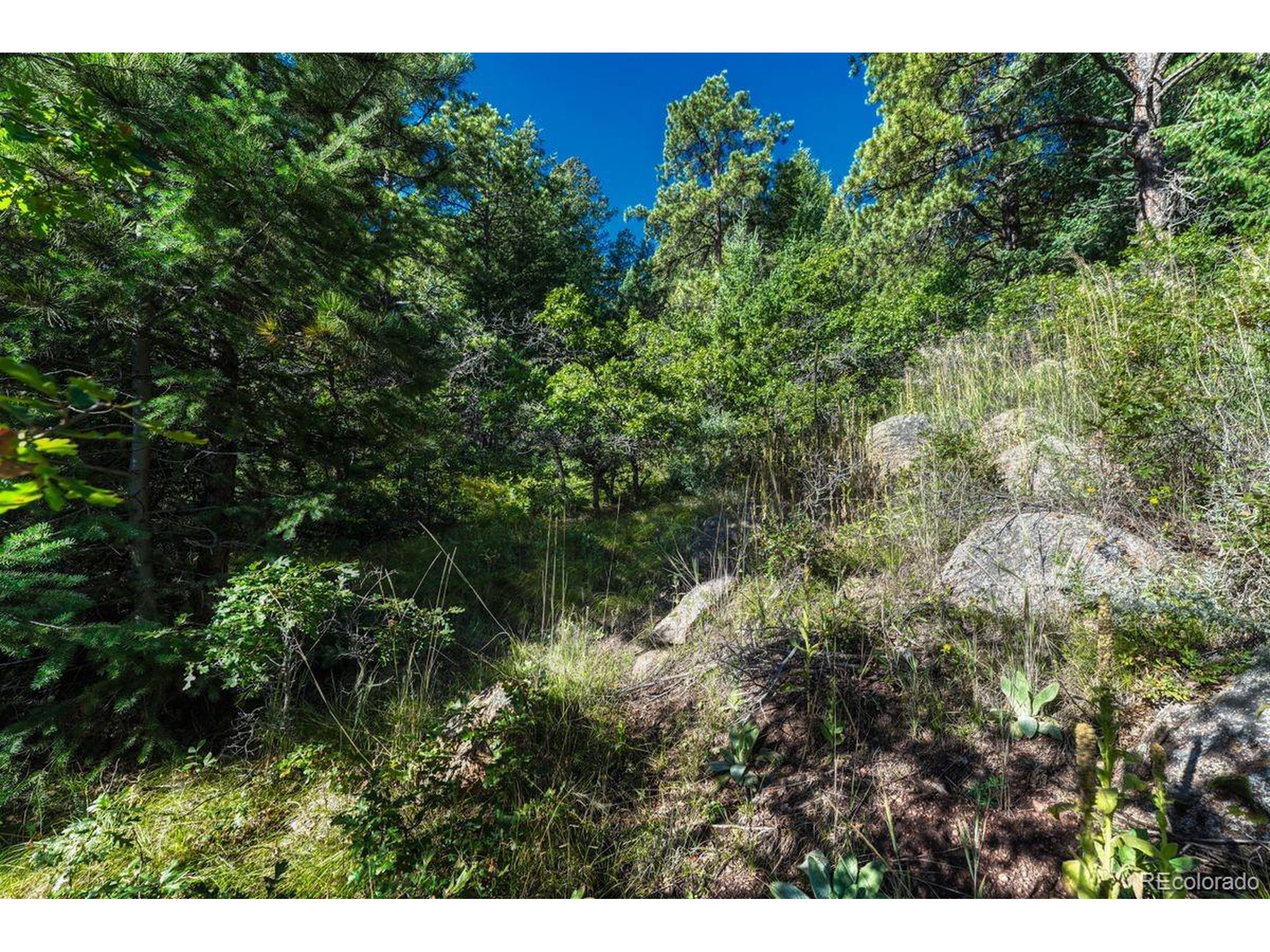 0 Columbine Road Palmer Lake, CO 80133 - Photo 17 of 37 a view of a lake