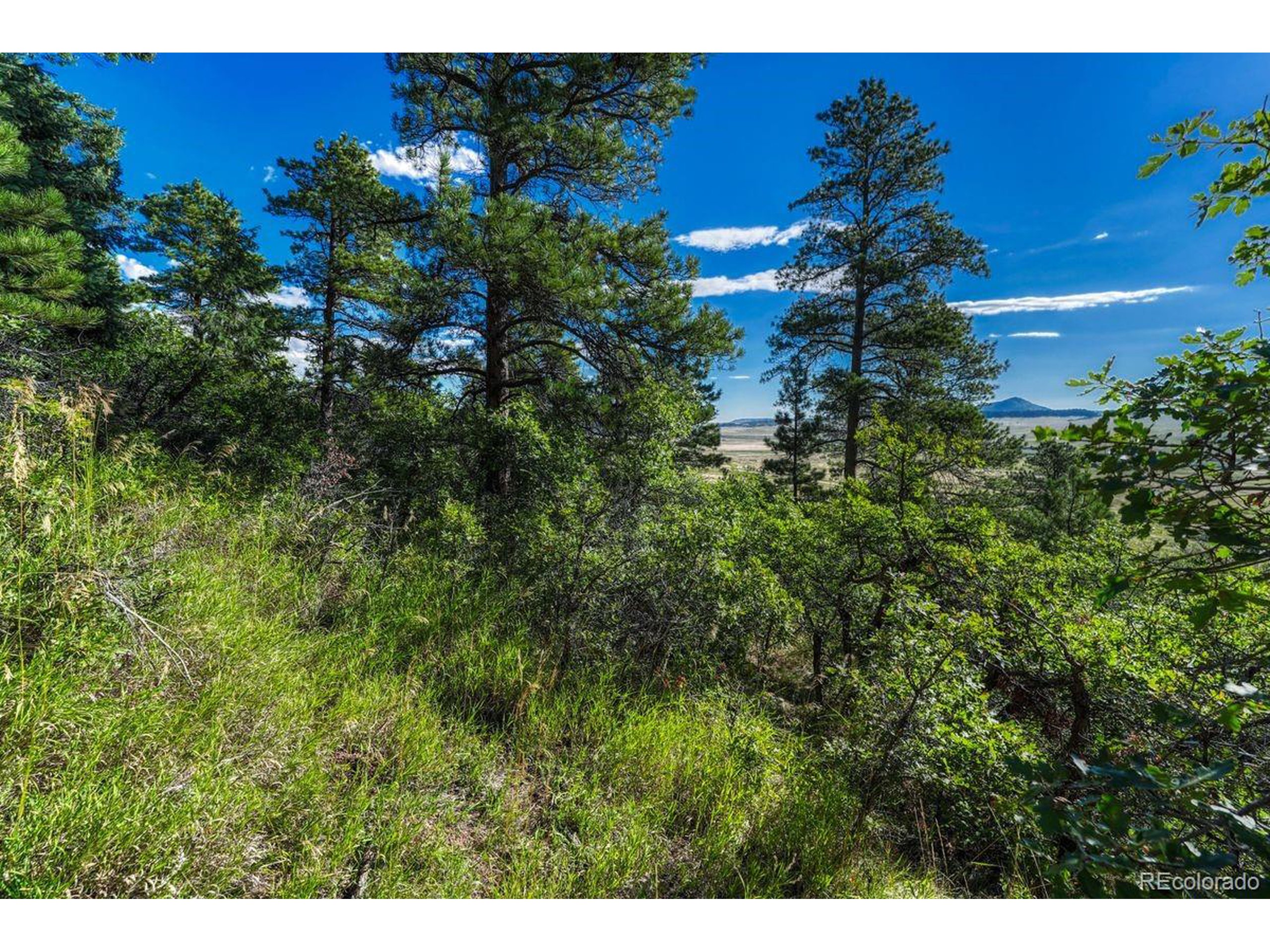 0 Columbine Road Palmer Lake, CO 80133 - Photo 18 of 37 a view of a city