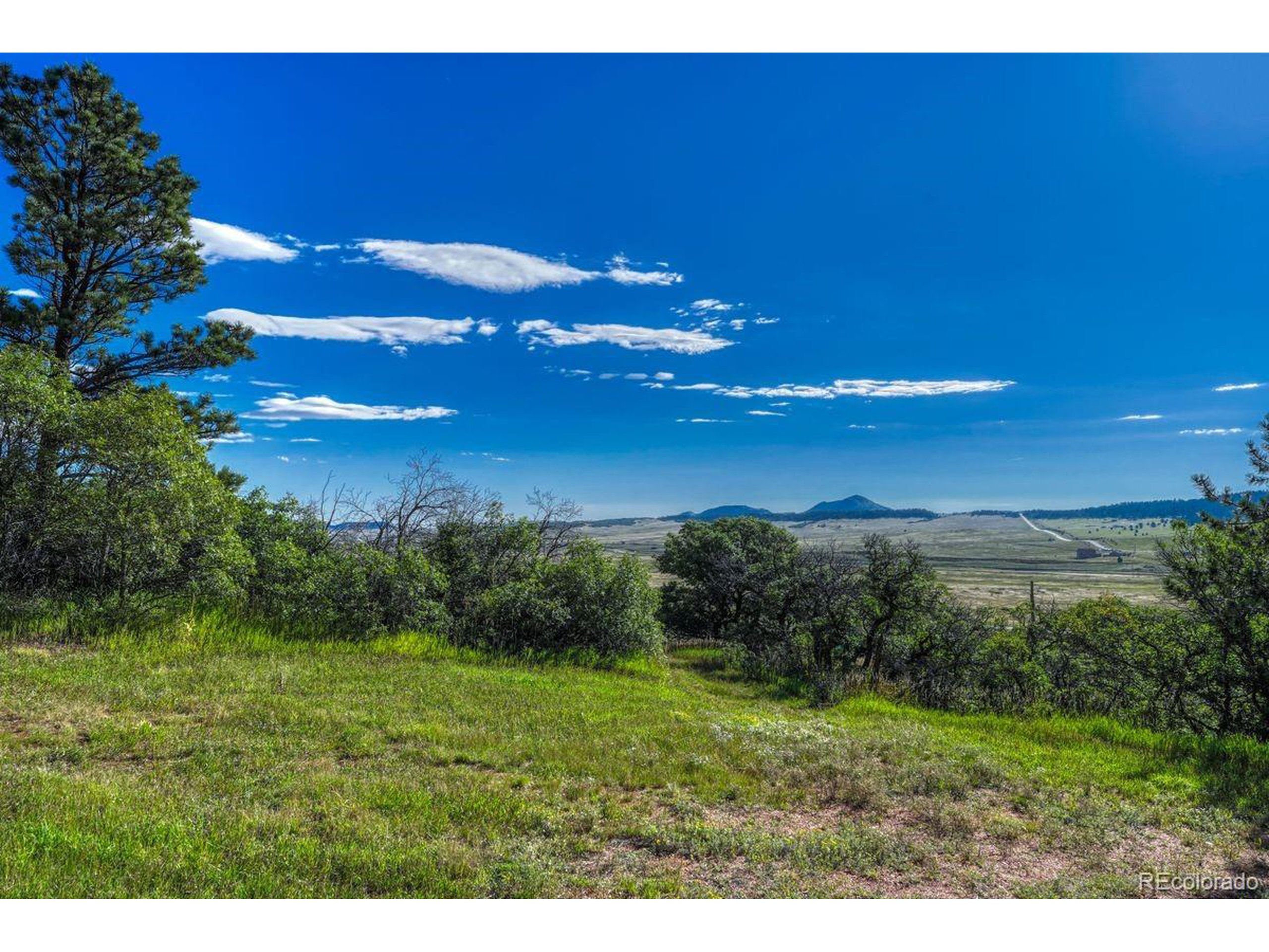 0 Columbine Road Palmer Lake, CO 80133 - Photo 19 of 37 a view of an outdoor space and yard