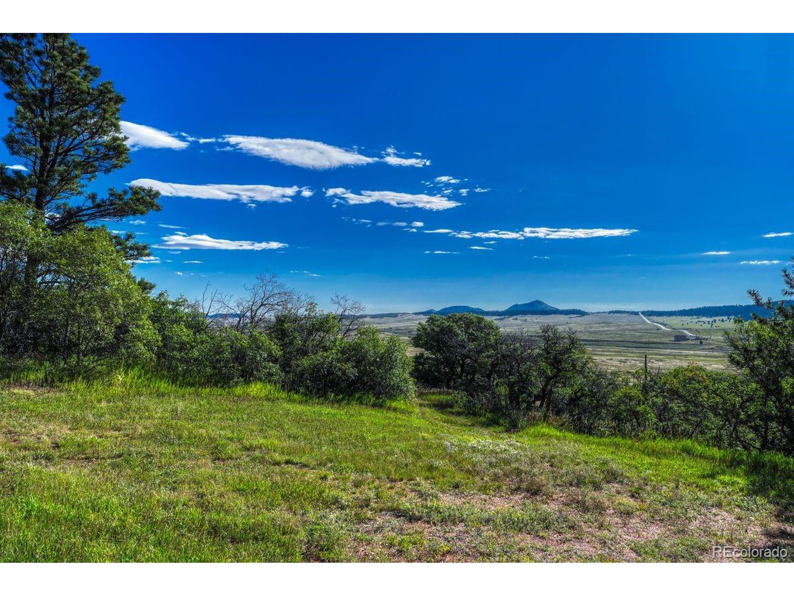 0 Columbine Road Palmer Lake, CO 80133 - Photo 20 of 37 a view of a big yard
