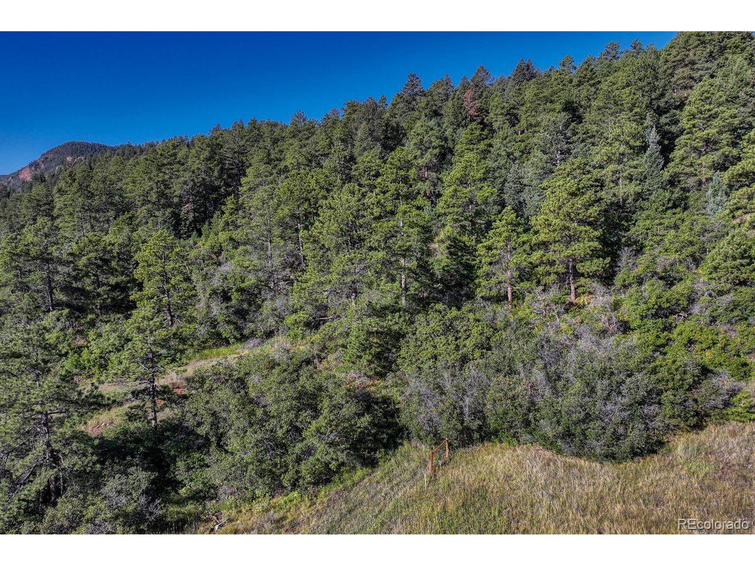 0 Columbine Road Palmer Lake, CO 80133 - Photo 2 of 37 a view of a field with a tree in the background