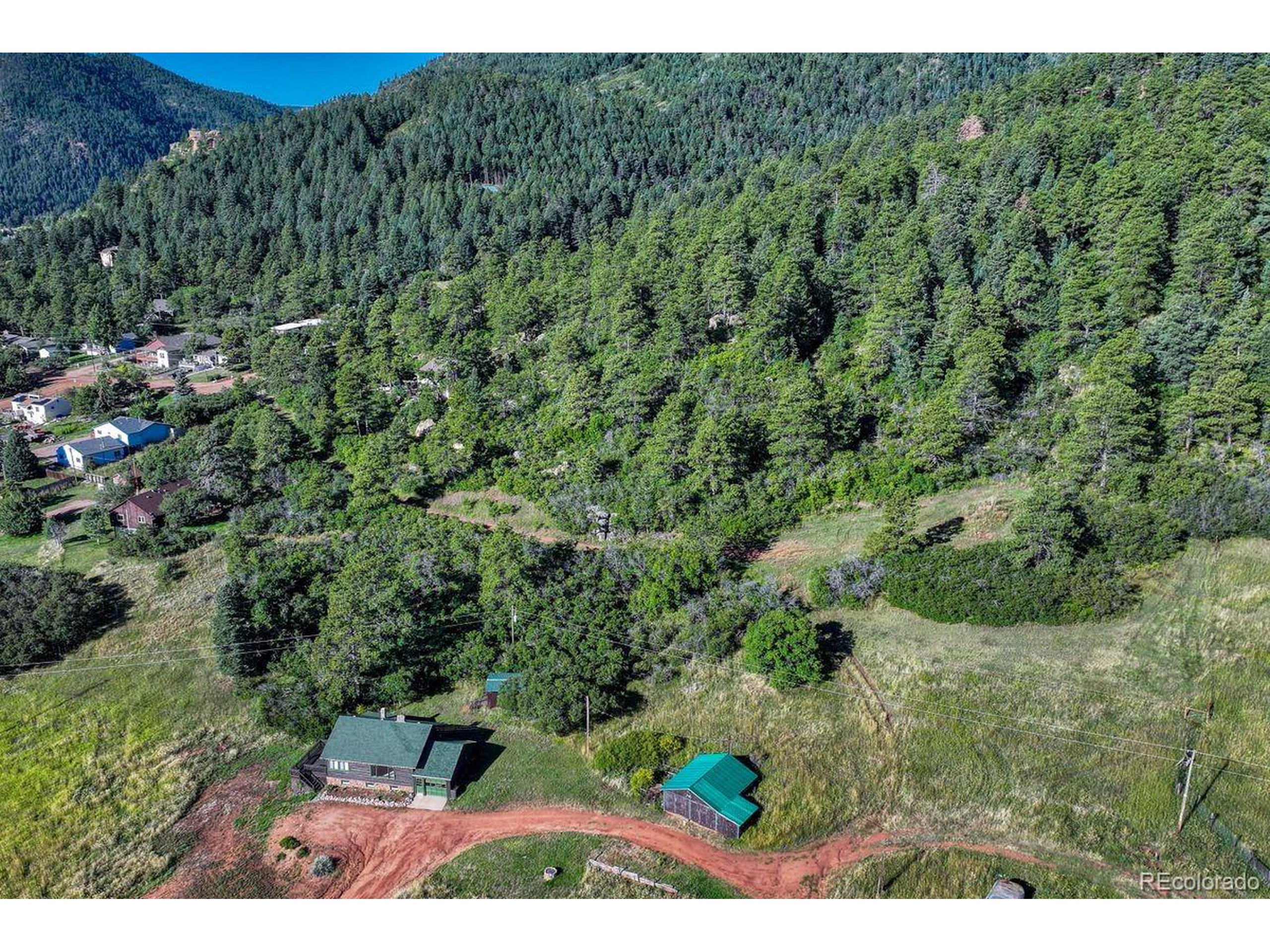 0 Columbine Road Palmer Lake, CO 80133 - Photo 23 of 37 a view of a forest with a street