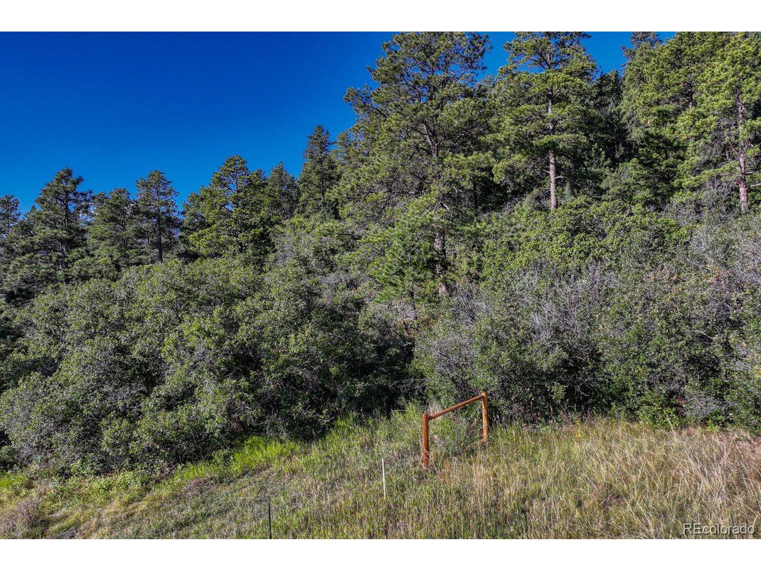 0 Columbine Road Palmer Lake, CO 80133 - Photo 26 of 37 a view of a green field