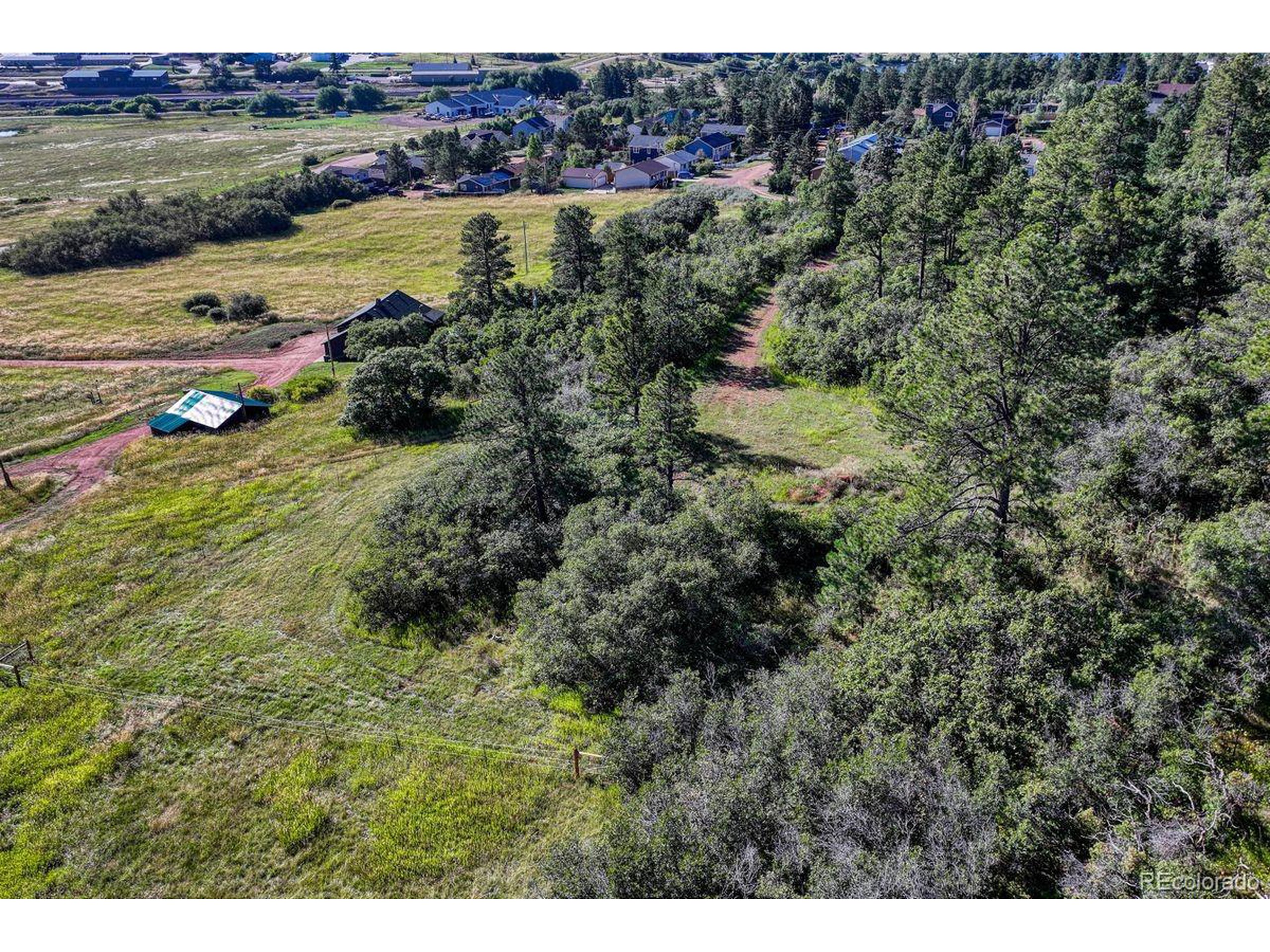 0 Columbine Road Palmer Lake, CO 80133 - Photo 28 of 37 a view of a lush green field