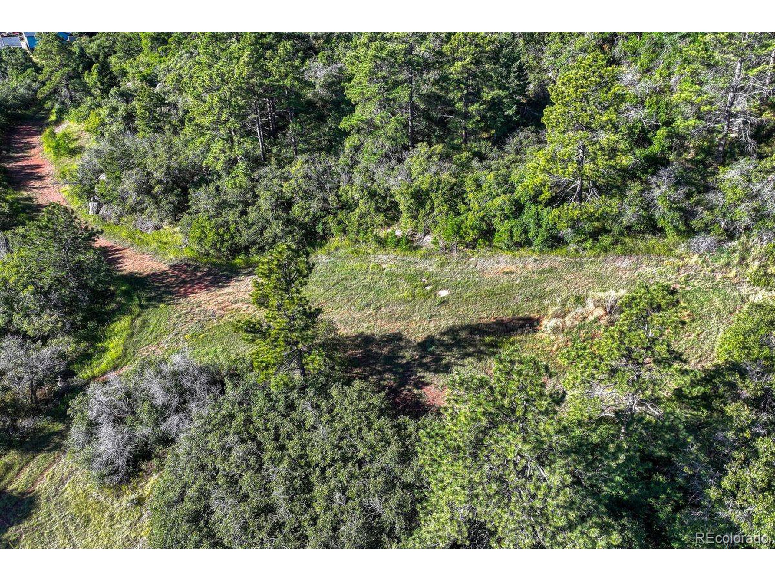 0 Columbine Road Palmer Lake, CO 80133 - Photo 29 of 37 a view of a lush green forest