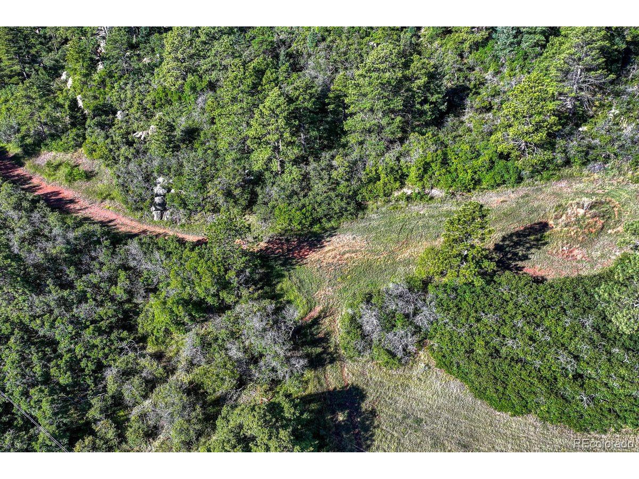 0 Columbine Road Palmer Lake, CO 80133 - Photo 30 of 37 a view of a lush green forest