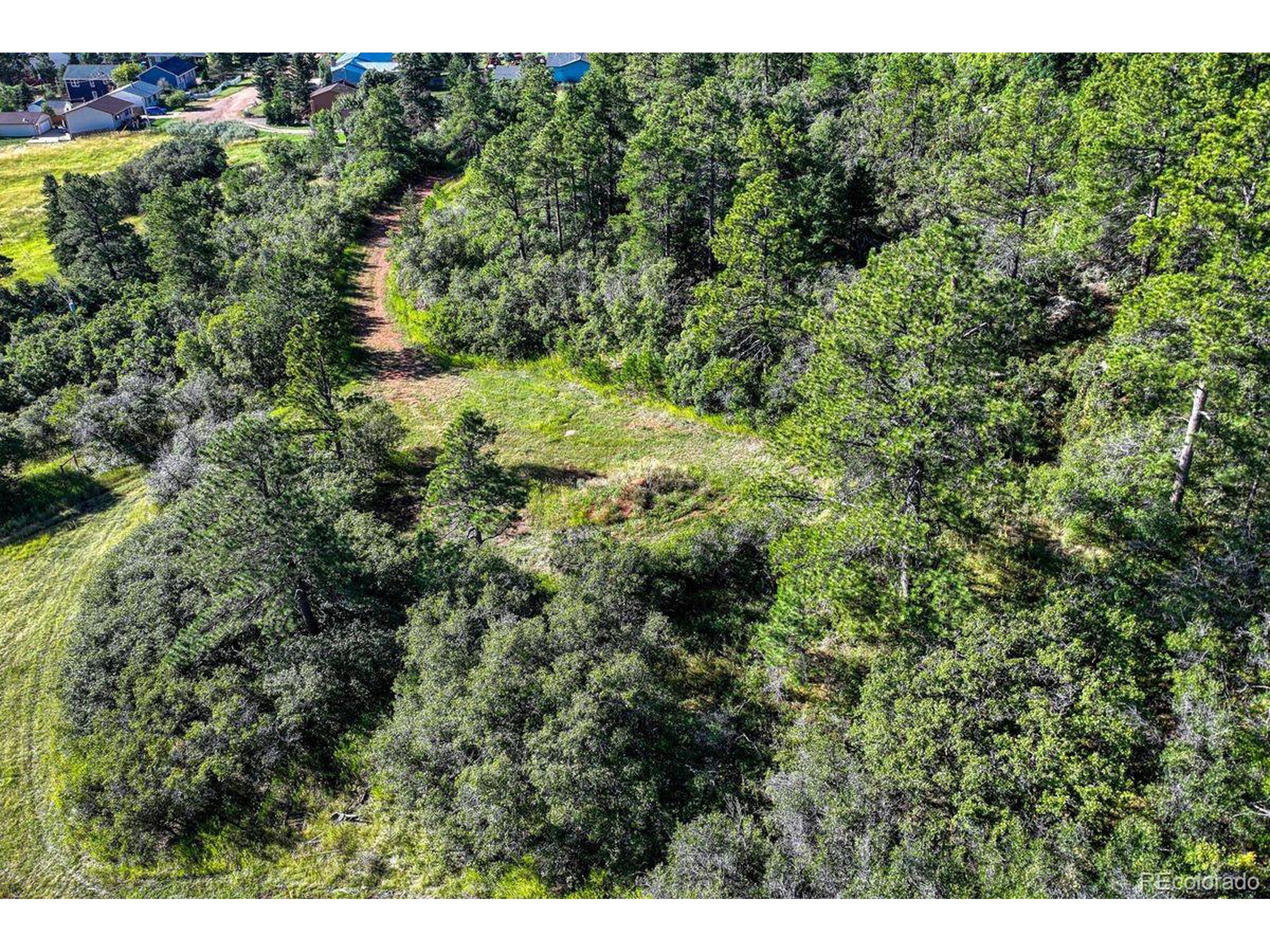 0 Columbine Road Palmer Lake, CO 80133 - Photo 3 of 37 a view of a lush green forest with trees and houses