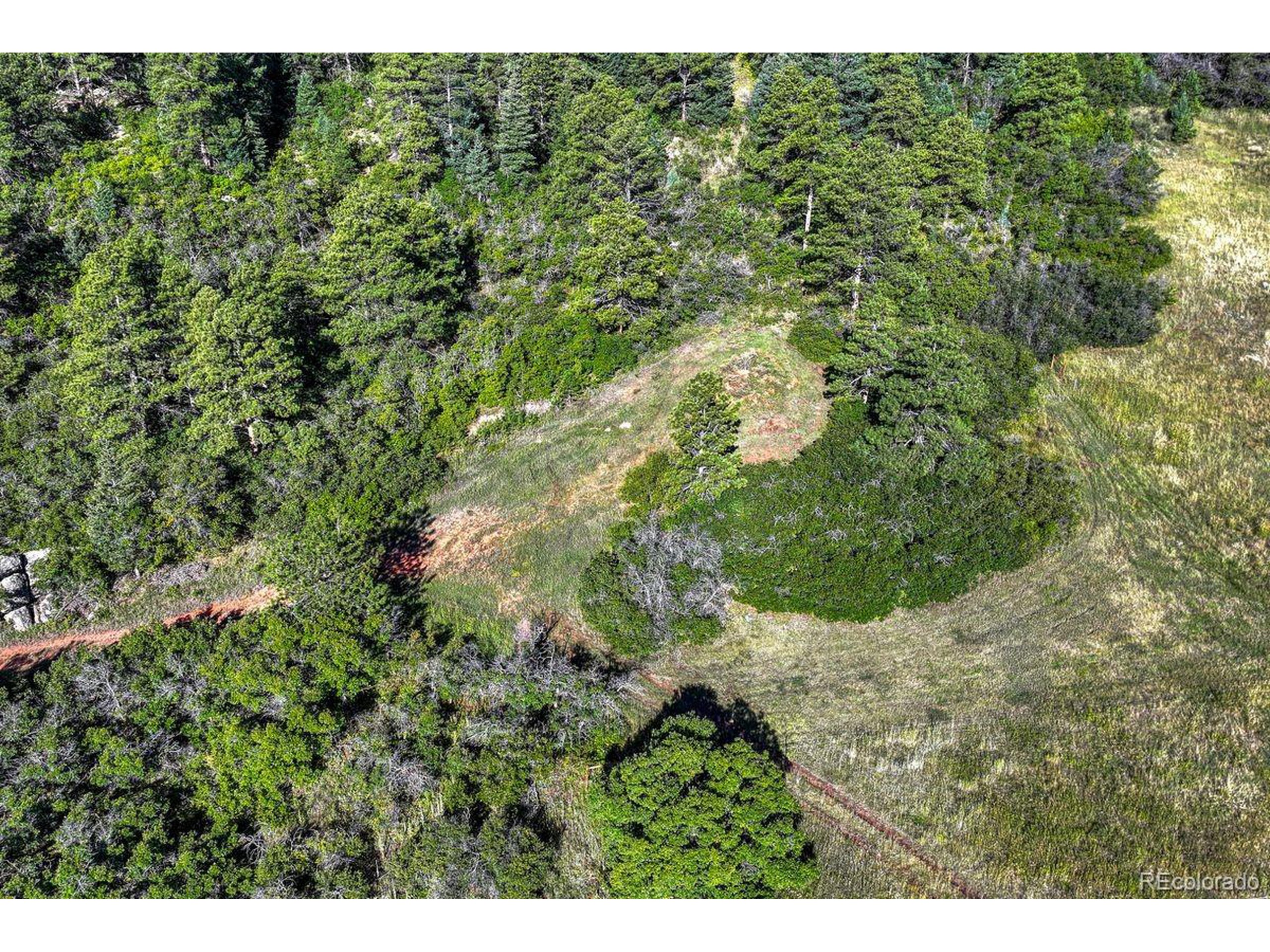 0 Columbine Road Palmer Lake, CO 80133 - Photo 31 of 37 a view of a yard