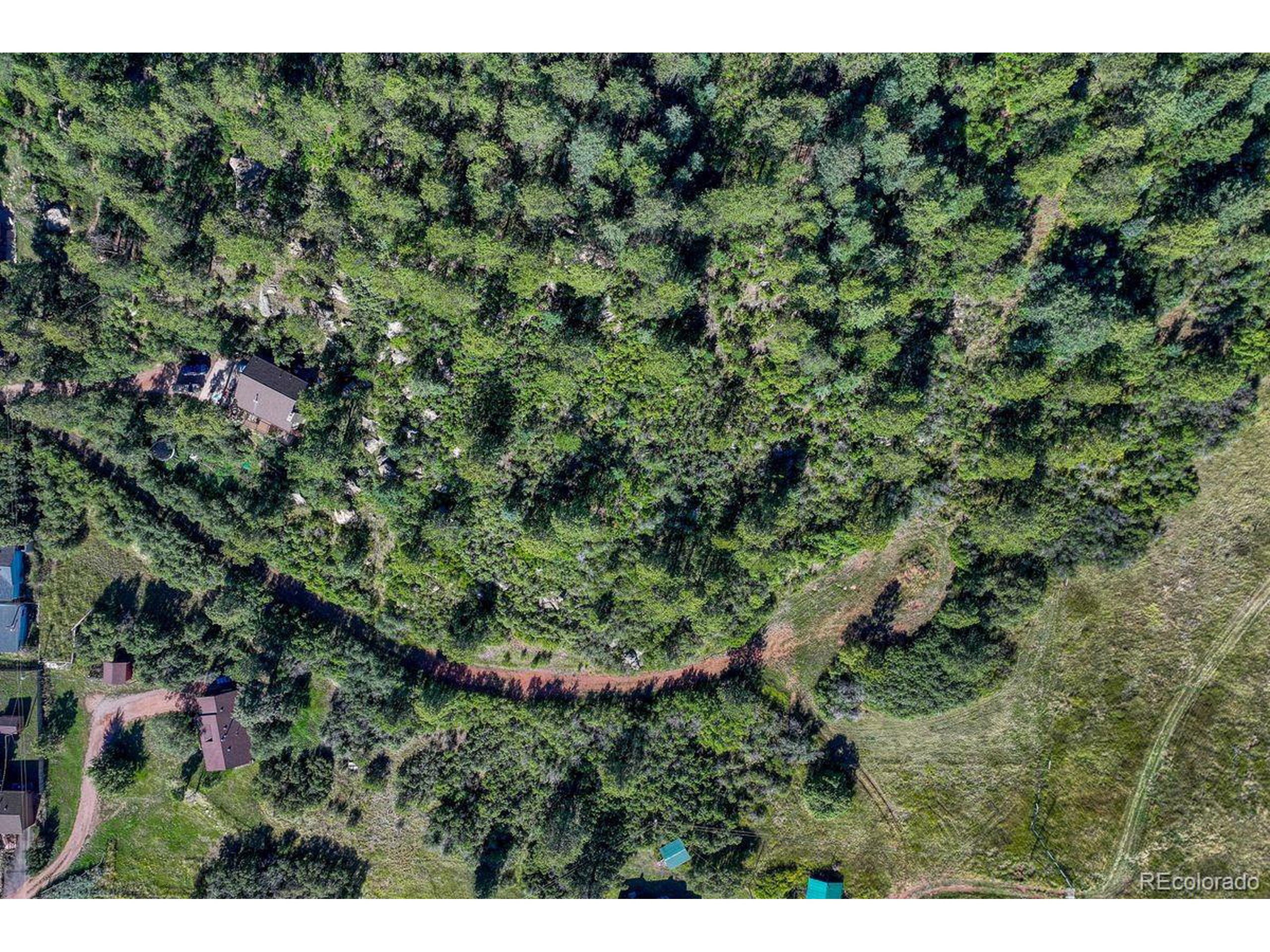 0 Columbine Road Palmer Lake, CO 80133 - Photo 32 of 37 a view of a lush green forest