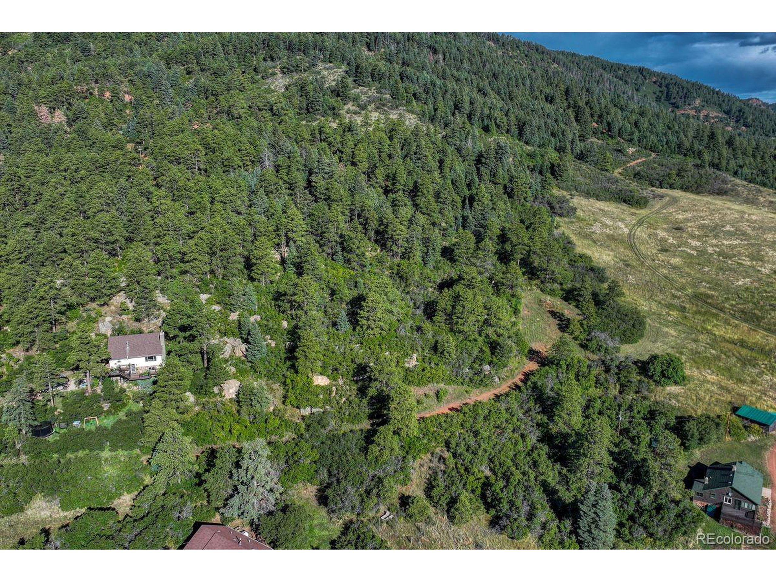 0 Columbine Road Palmer Lake, CO 80133 - Photo 33 of 37 a view of a forest with a street