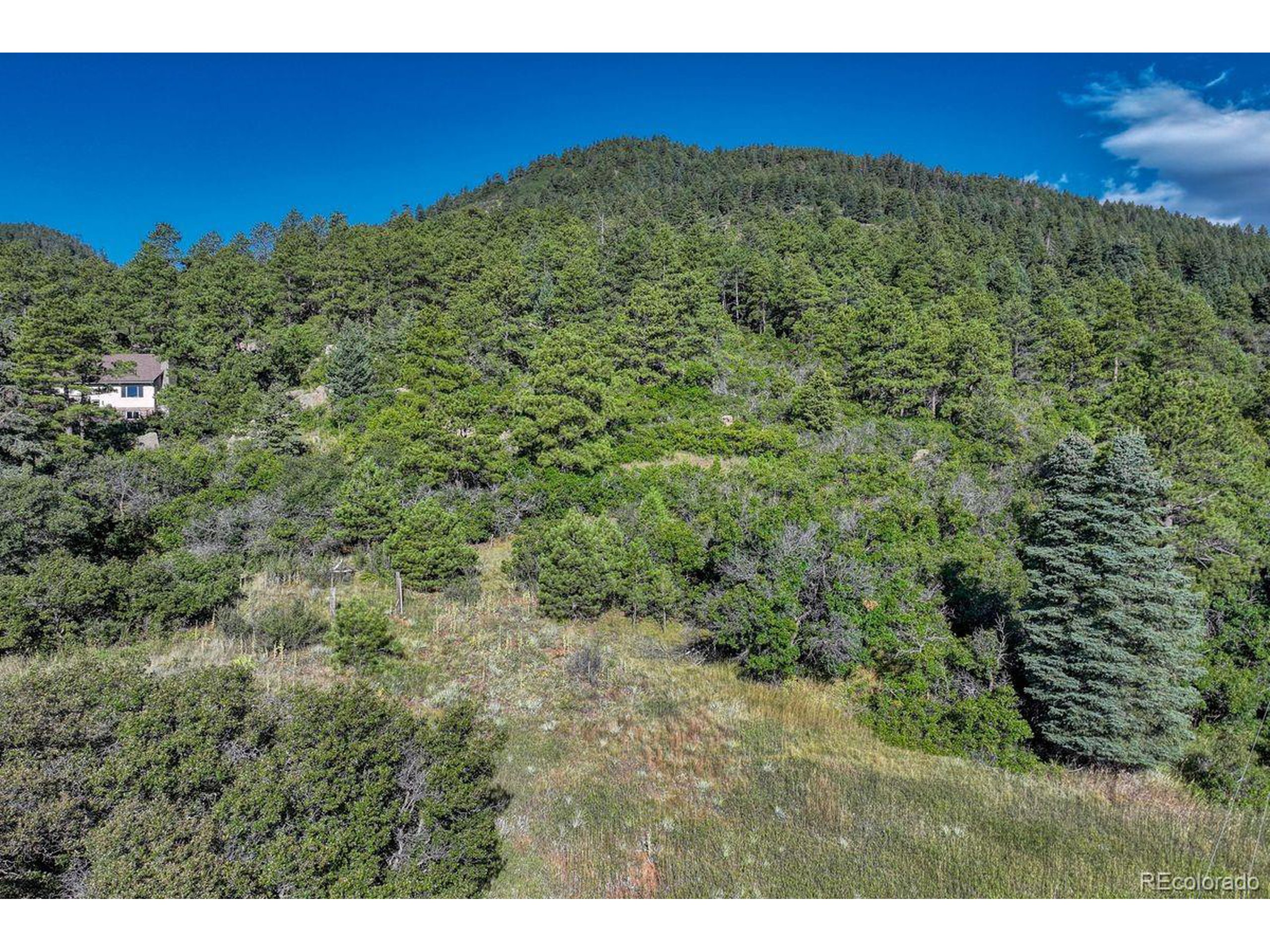 0 Columbine Road Palmer Lake, CO 80133 - Photo 35 of 37 a view of a green field