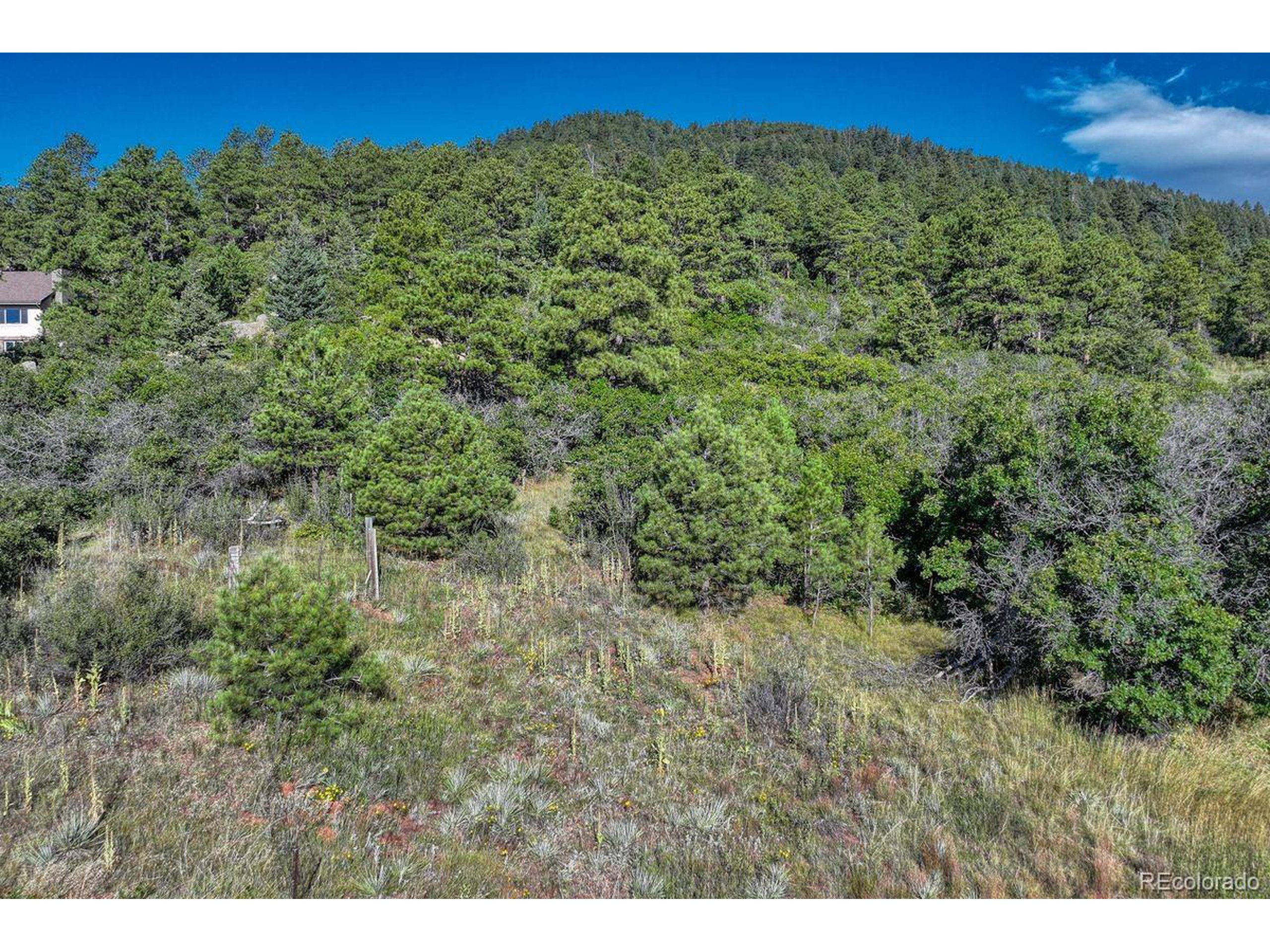 0 Columbine Road Palmer Lake, CO 80133 - Photo 36 of 37 a view of a green field
