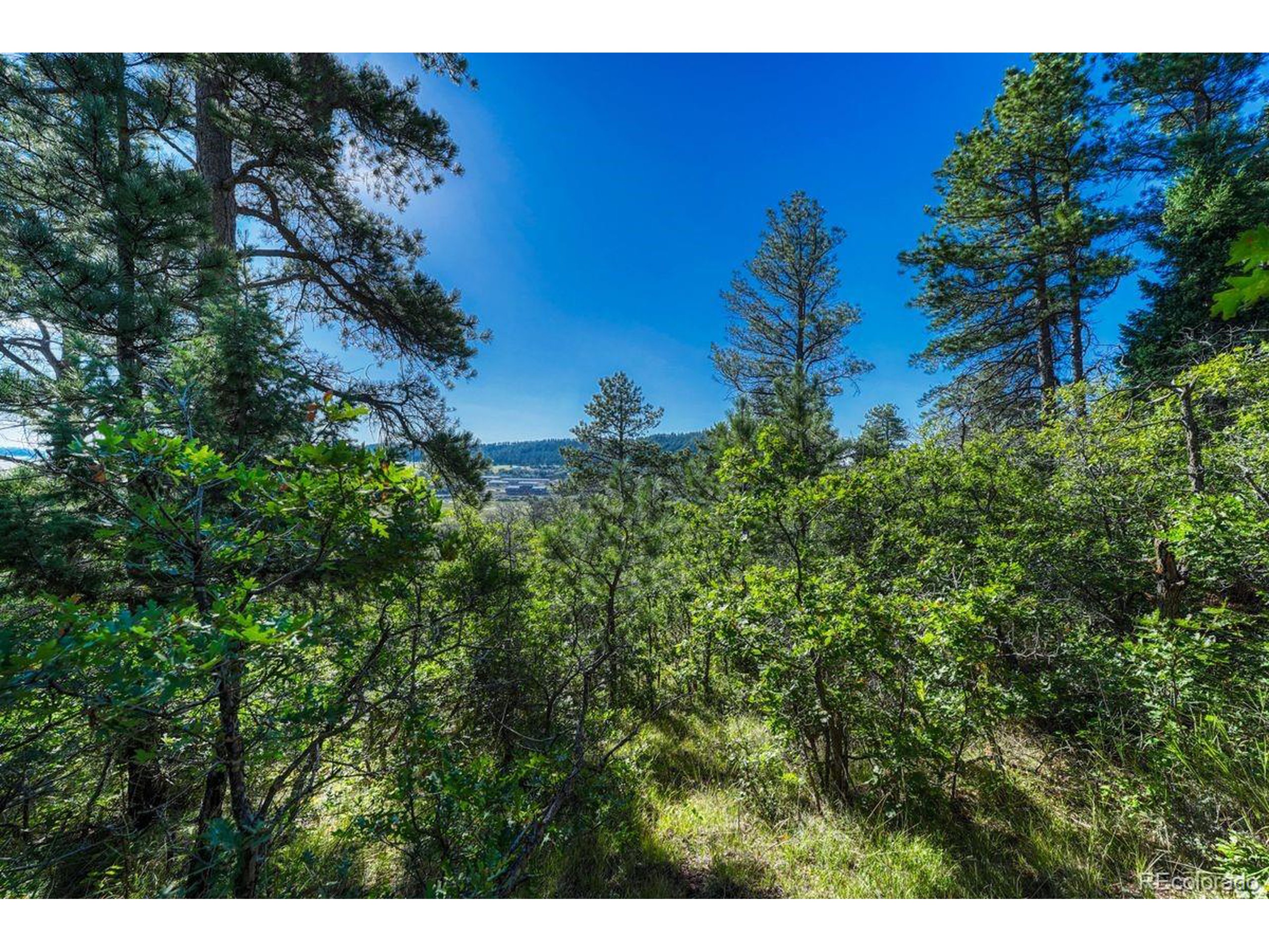 0 Columbine Road Palmer Lake, CO 80133 - Photo 8 of 37