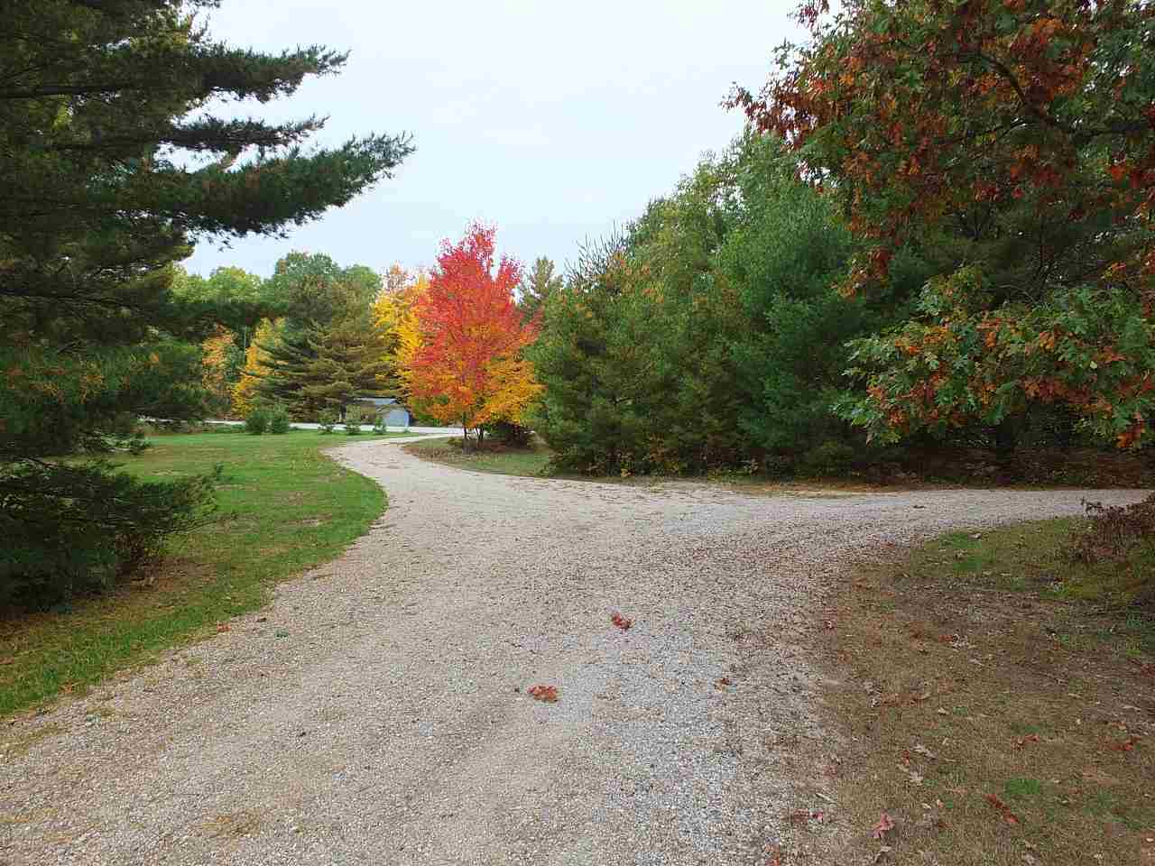 10629 Grand Kal Road Fife Lake, MI 49633 - Photo 5 of 36 1853852-4.JPG