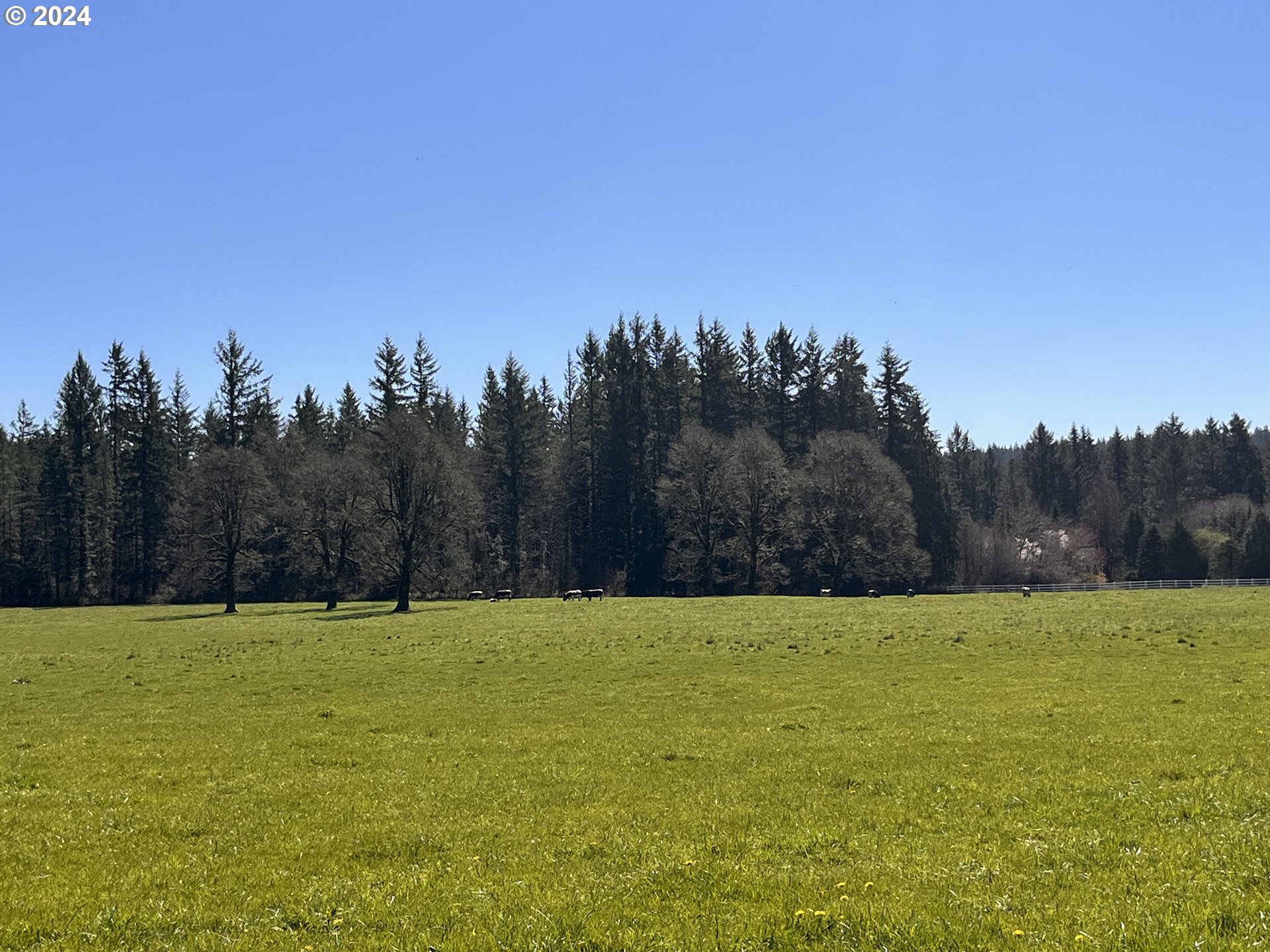 212th Avenue Battle Ground, WA 98604 - Photo 3 of 9