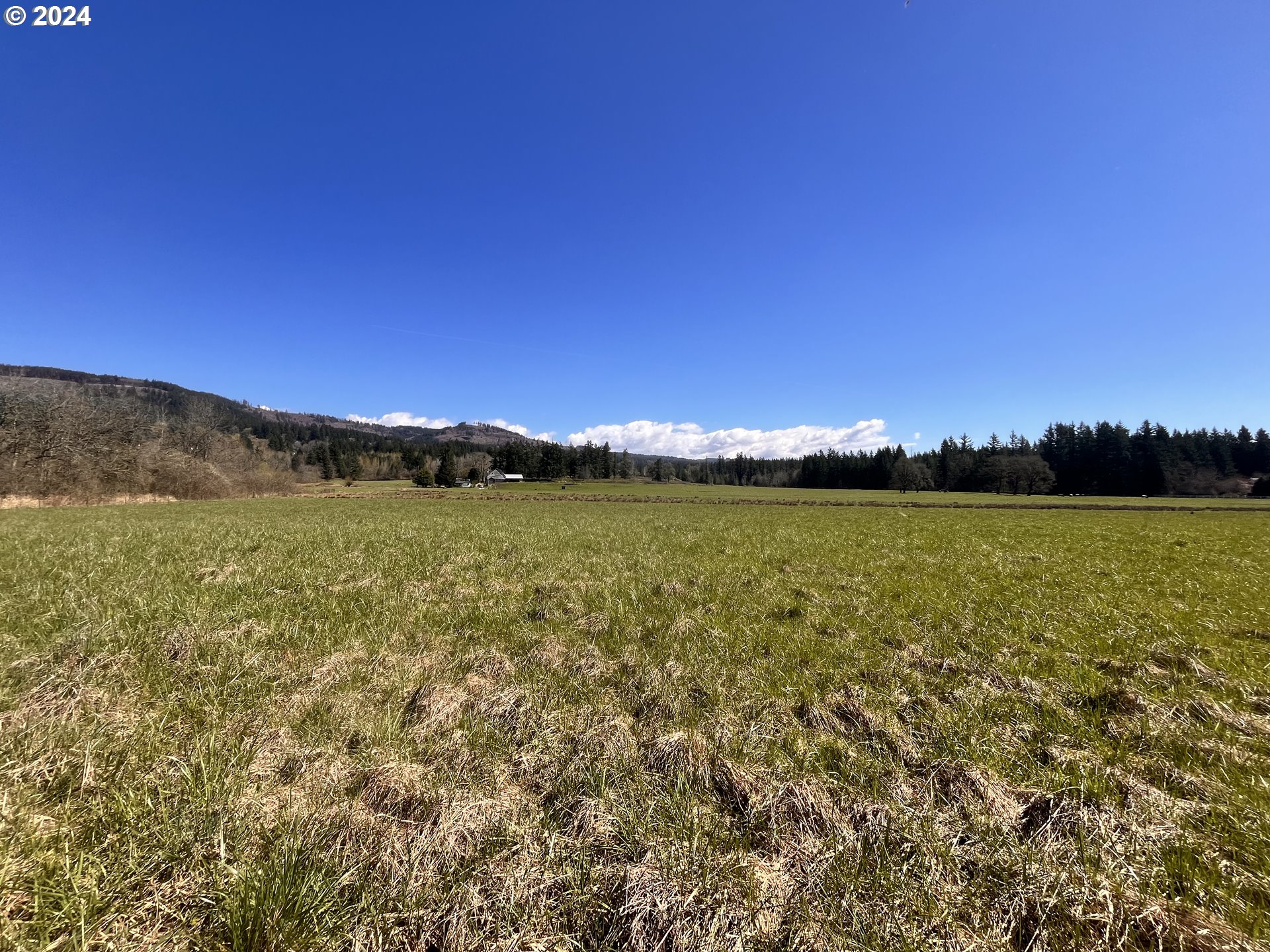 212th Avenue Battle Ground, WA 98604 - Photo 6 of 9