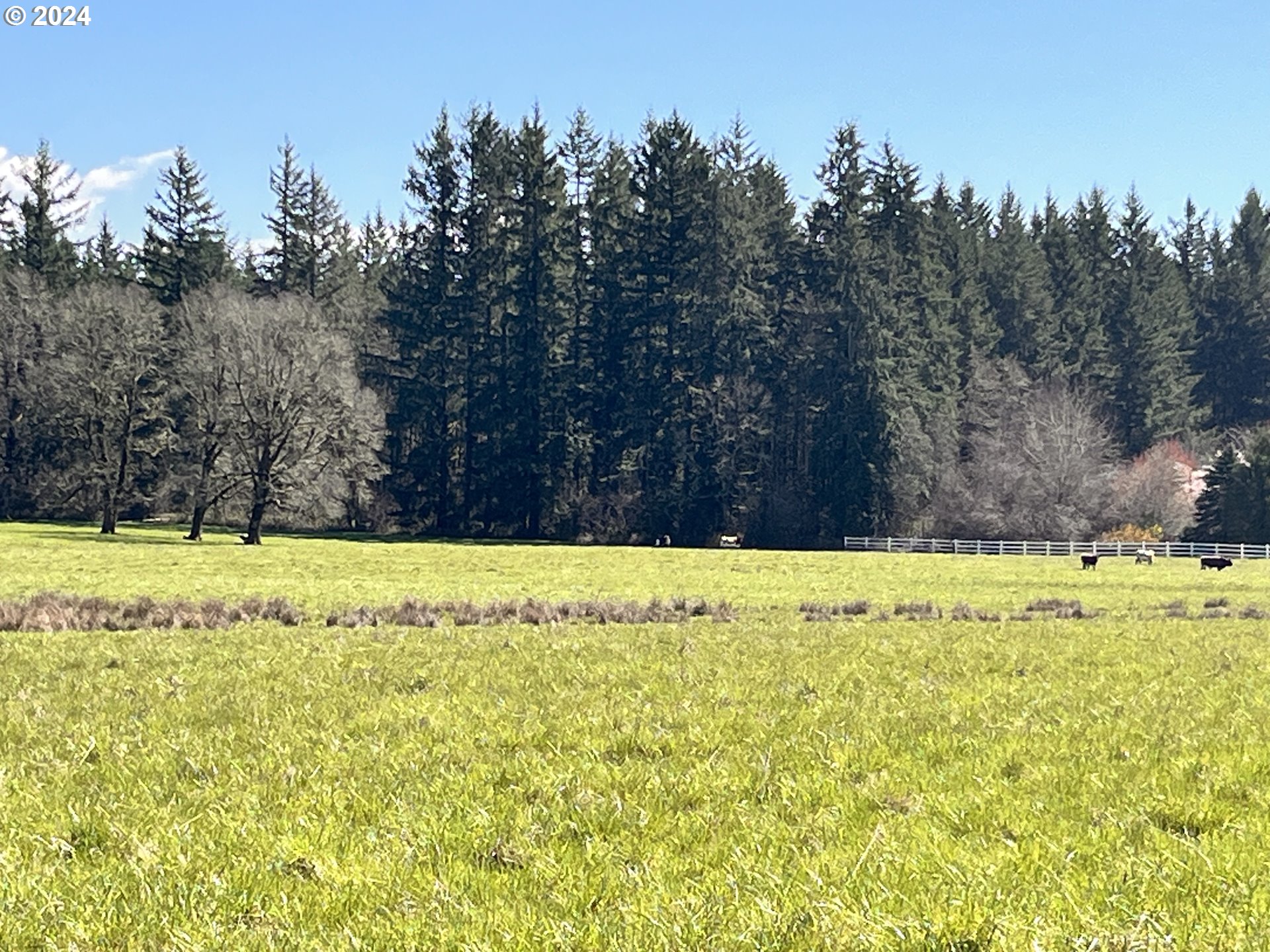 212th Avenue Battle Ground, WA 98604 - Photo 7 of 9