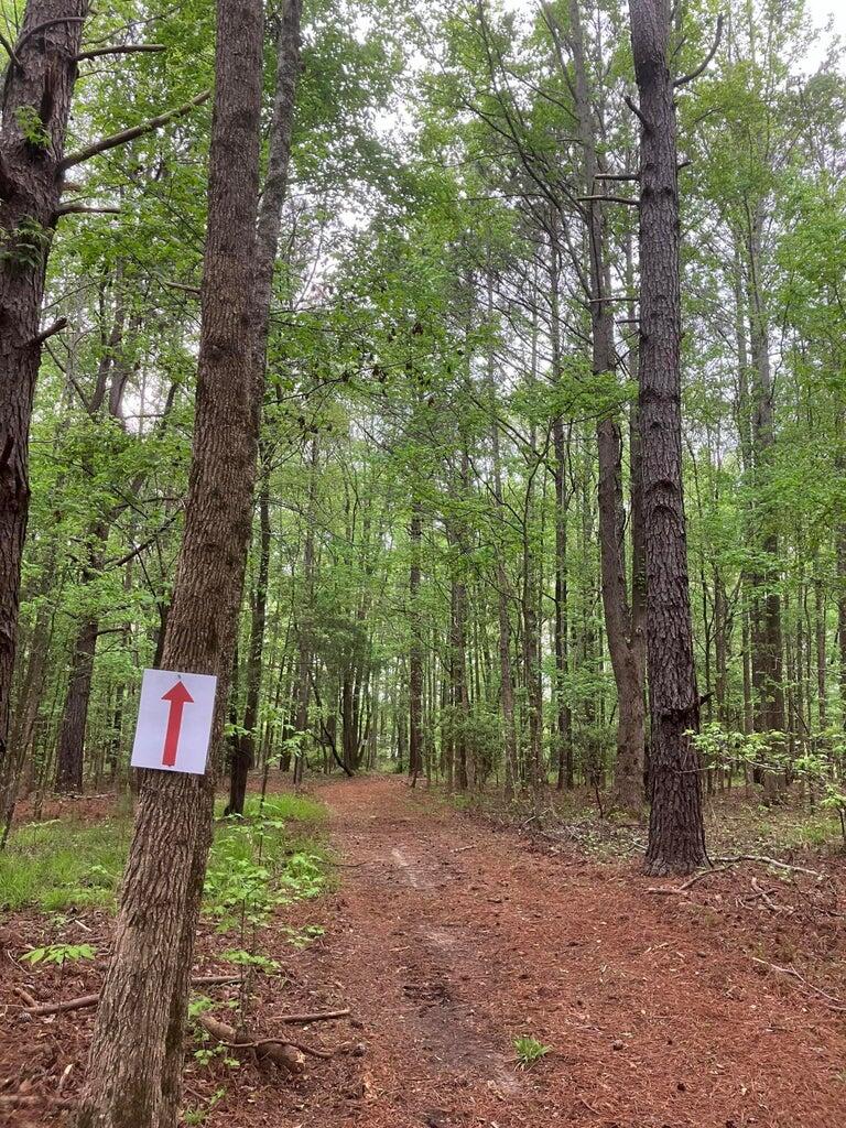 935 Neptune Trail Appling, GA 30802 - Photo 6 of 9 20240410161153973634000000-o