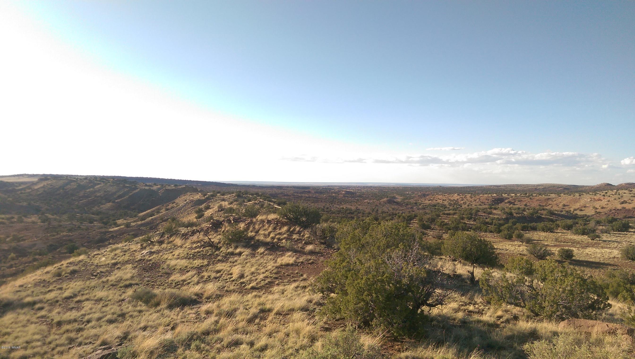 Lot 218 River Springs Ranch Eagar, AZ 85925 - Photo 1 of 8