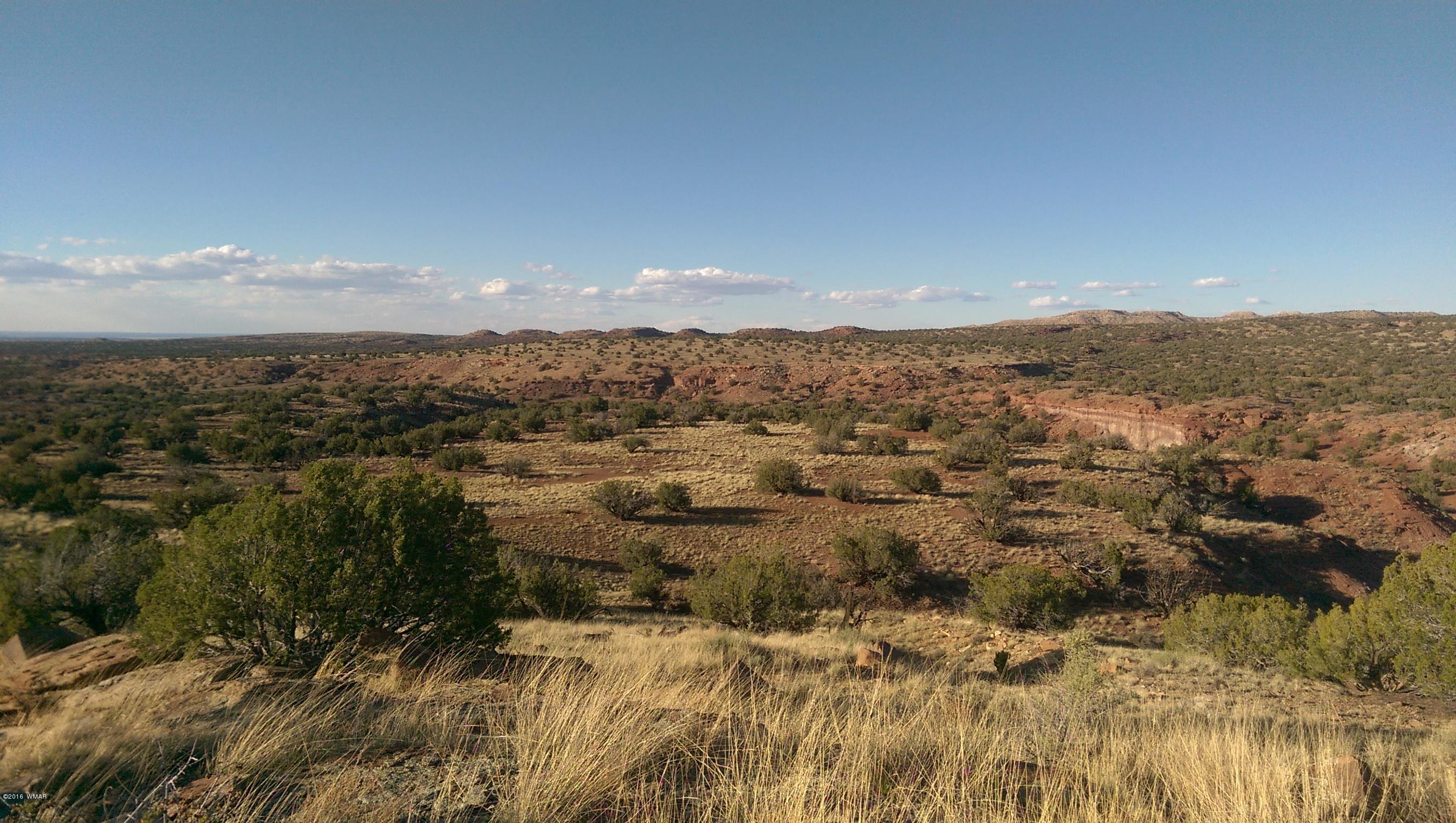 Lot 218 River Springs Ranch Eagar, AZ 85925 - Photo 2 of 8