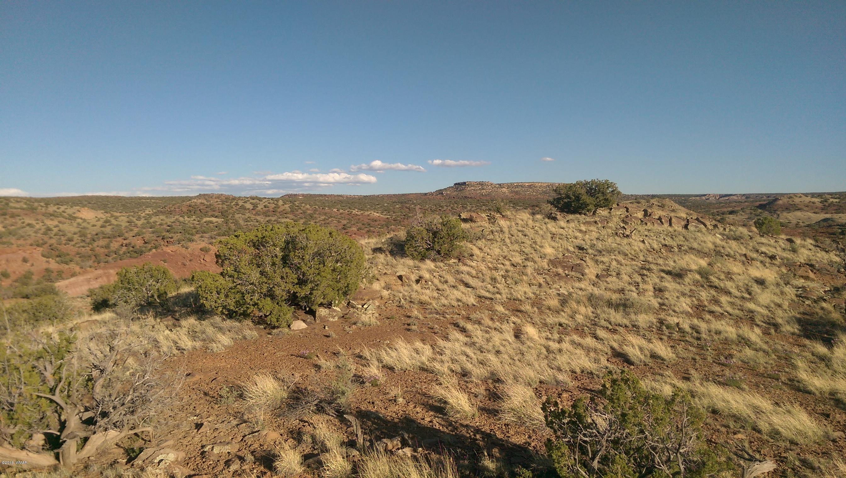 Lot 218 River Springs Ranch Eagar, AZ 85925 - Photo 3 of 8