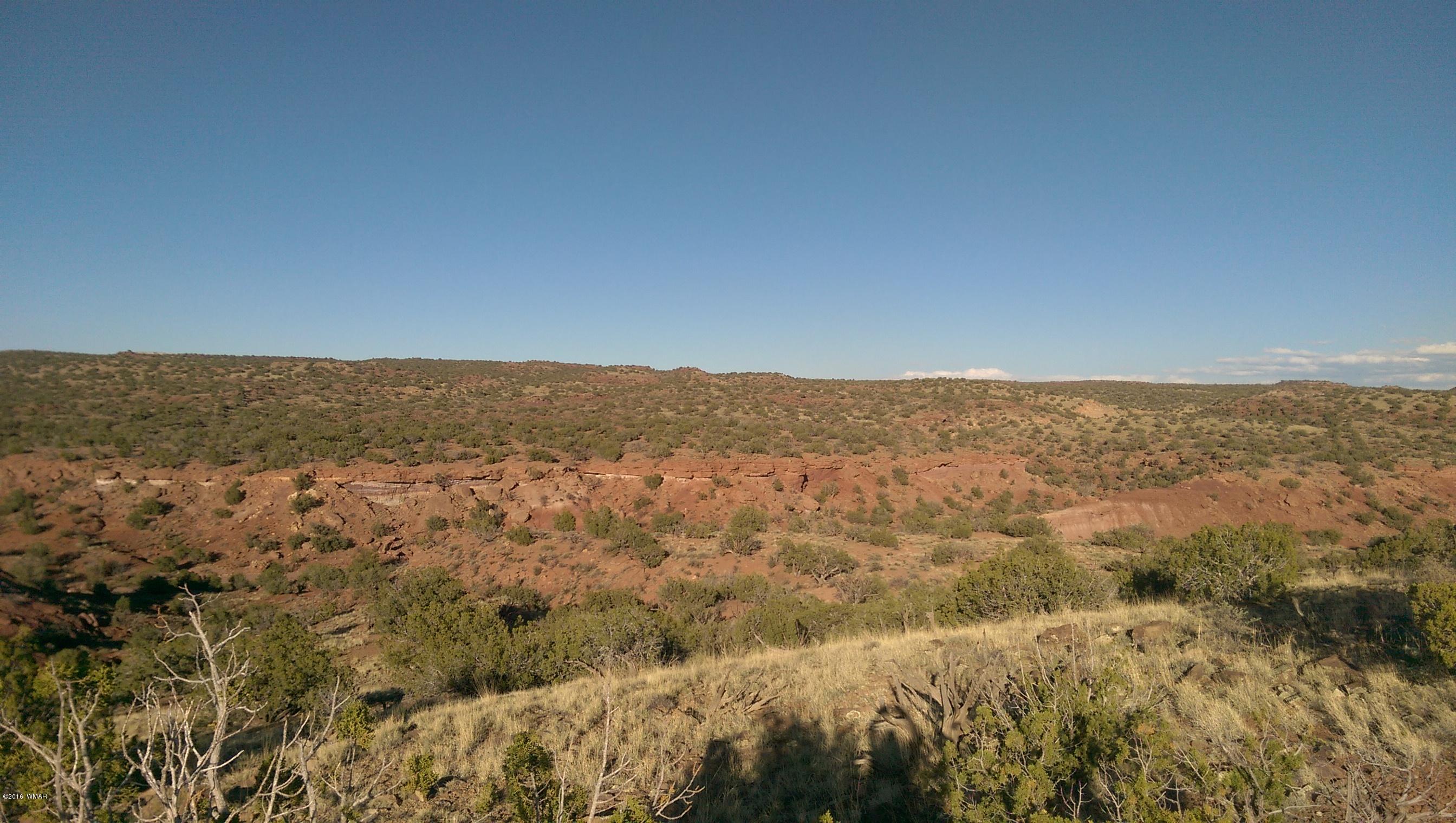 Lot 218 River Springs Ranch Eagar, AZ 85925 - Photo 4 of 8