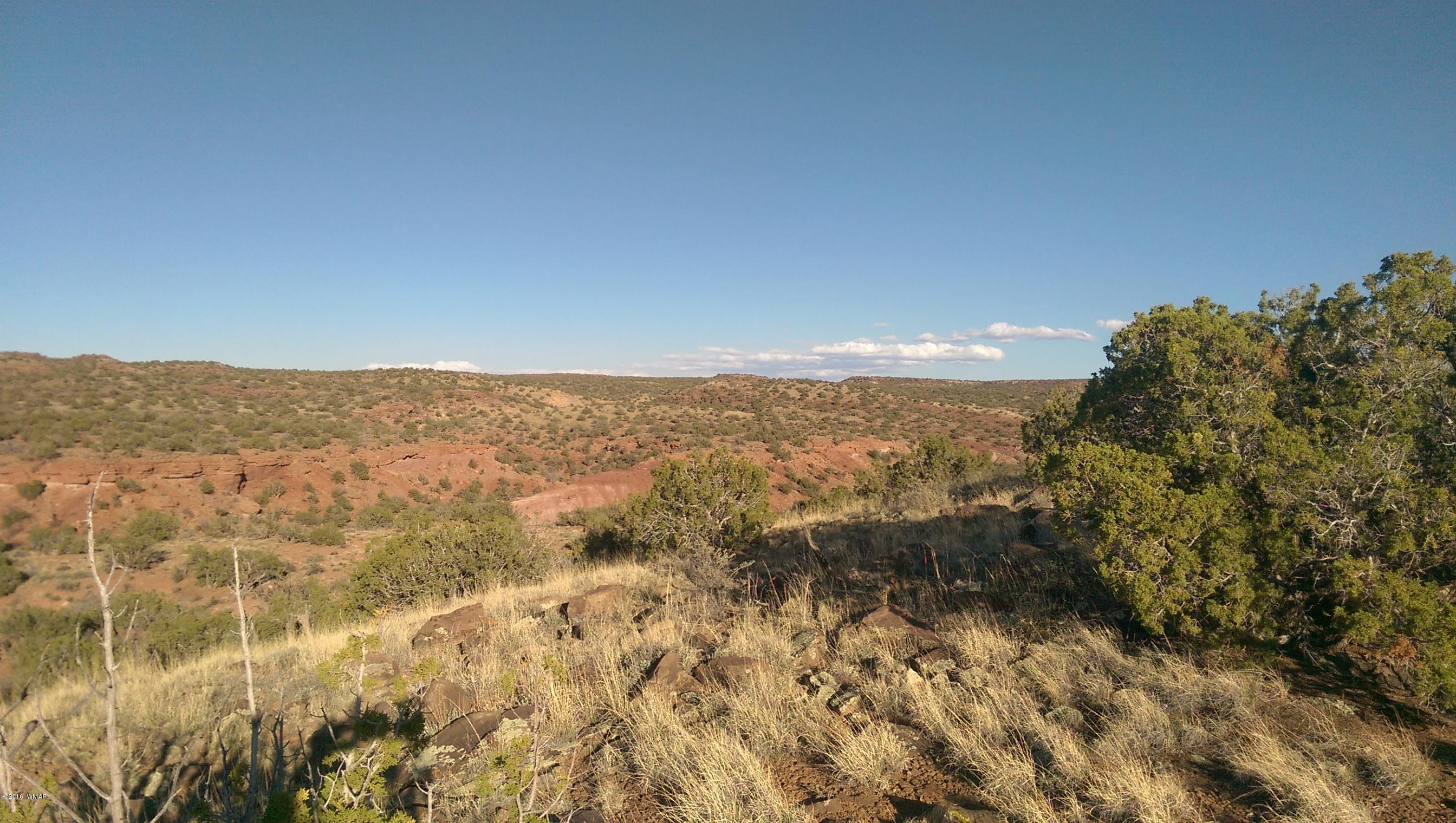 Lot 218 River Springs Ranch Eagar, AZ 85925 - Photo 5 of 8