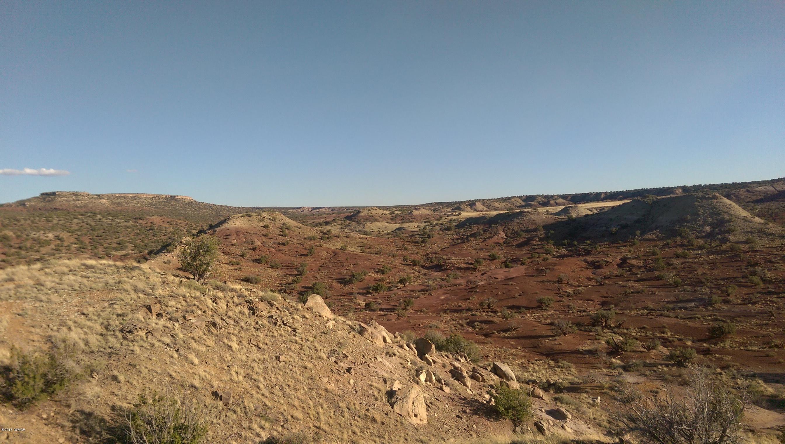 Lot 218 River Springs Ranch Eagar, AZ 85925 - Photo 7 of 8