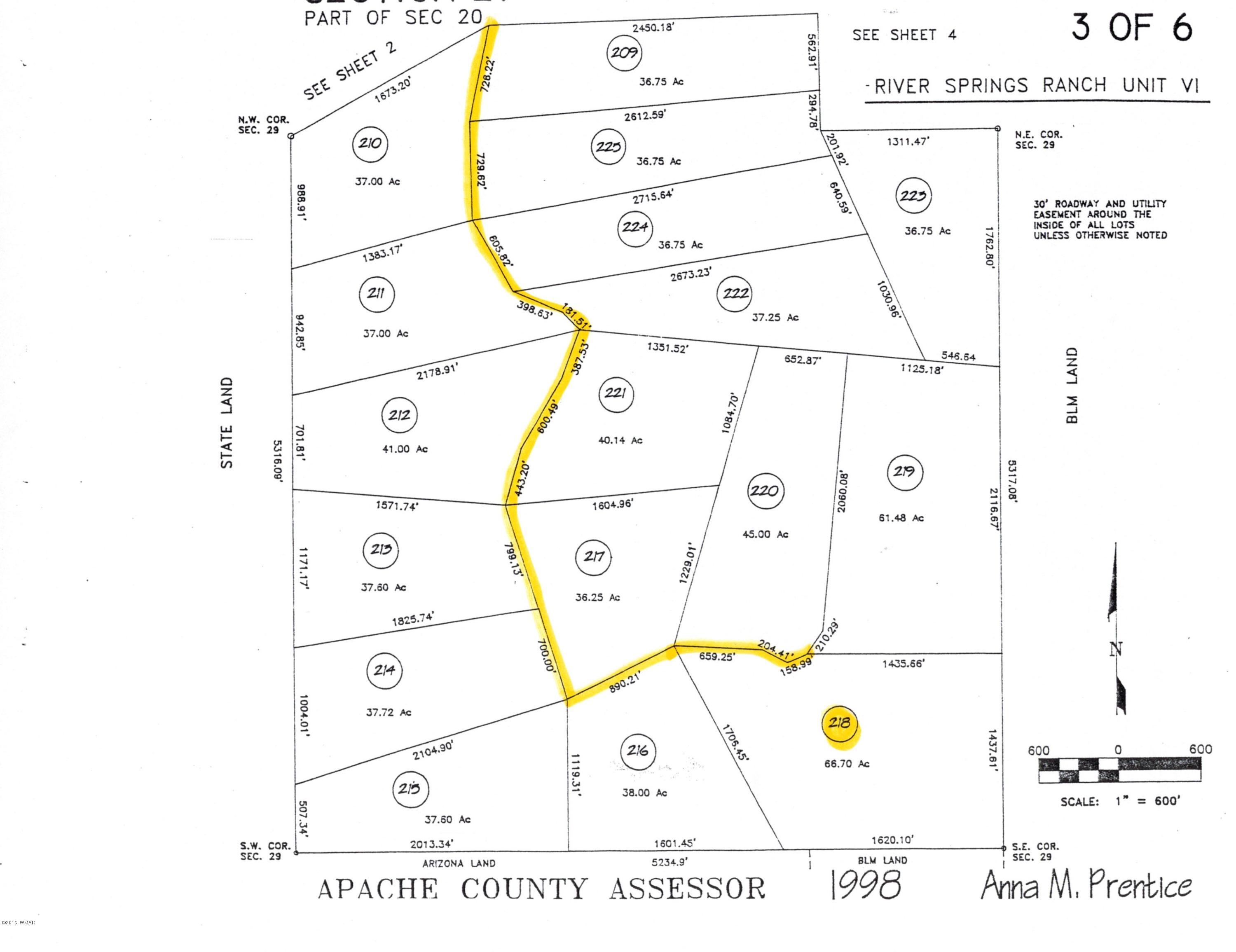 Lot 218 River Springs Ranch Eagar, AZ 85925 - Photo 8 of 8