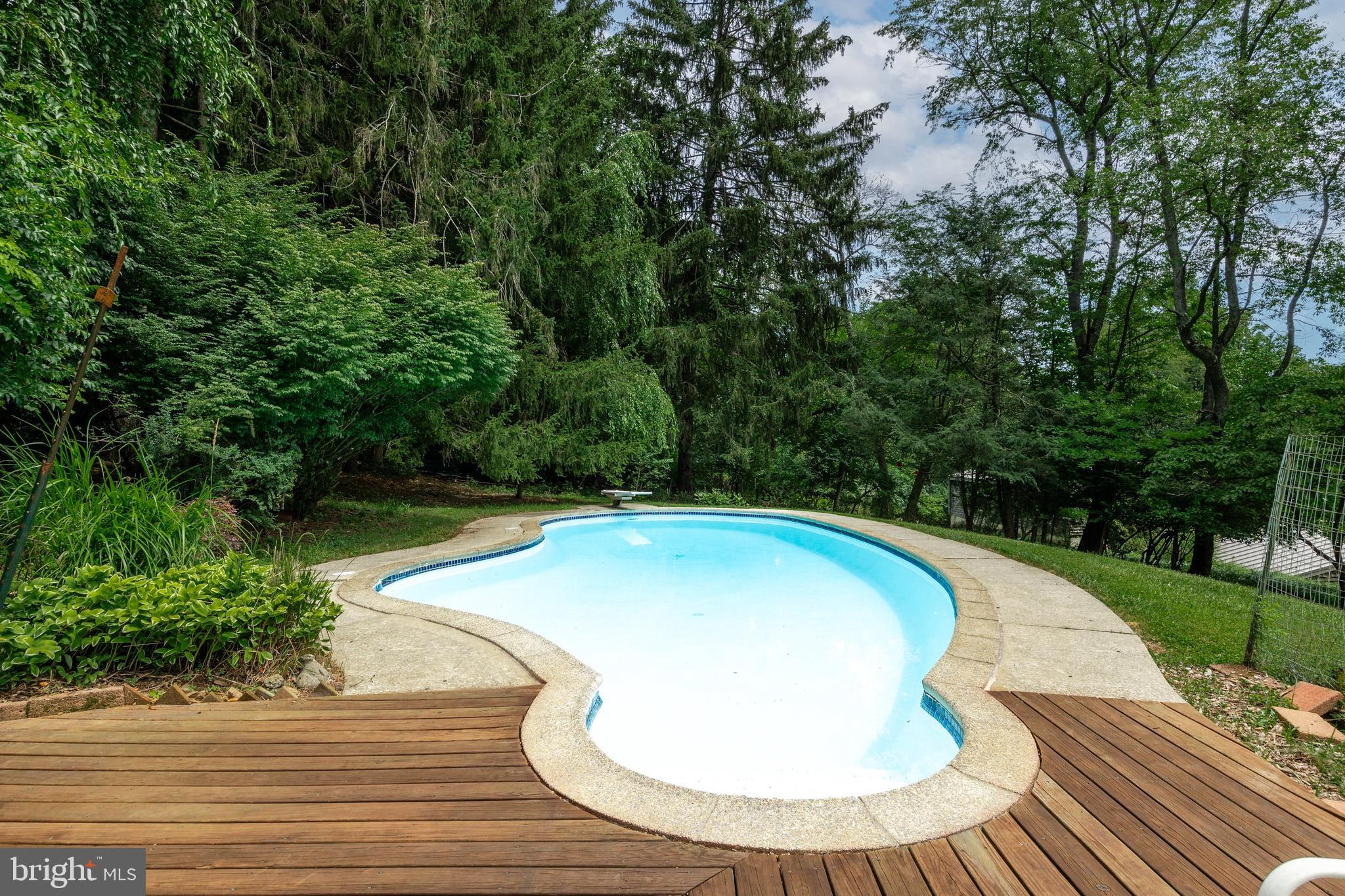 2 Mountain View Lane Phoenixville, PA 19460 - Photo 48 of 55 Anthony Sylvan Free Form Inground Pool