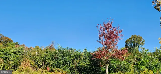 $3,400 | 301 Willis Street, Fredericksburg, VA 22401