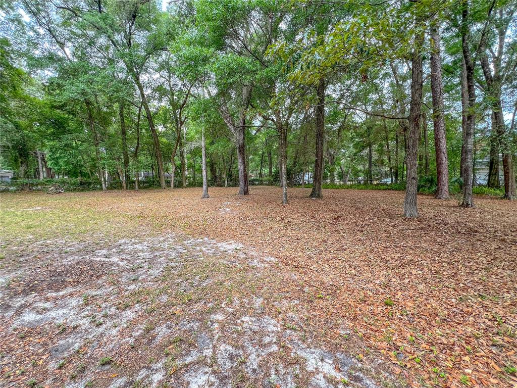 720 Southwest 77th Terrace Gainesville, FL 32607 - Photo 15 of 17