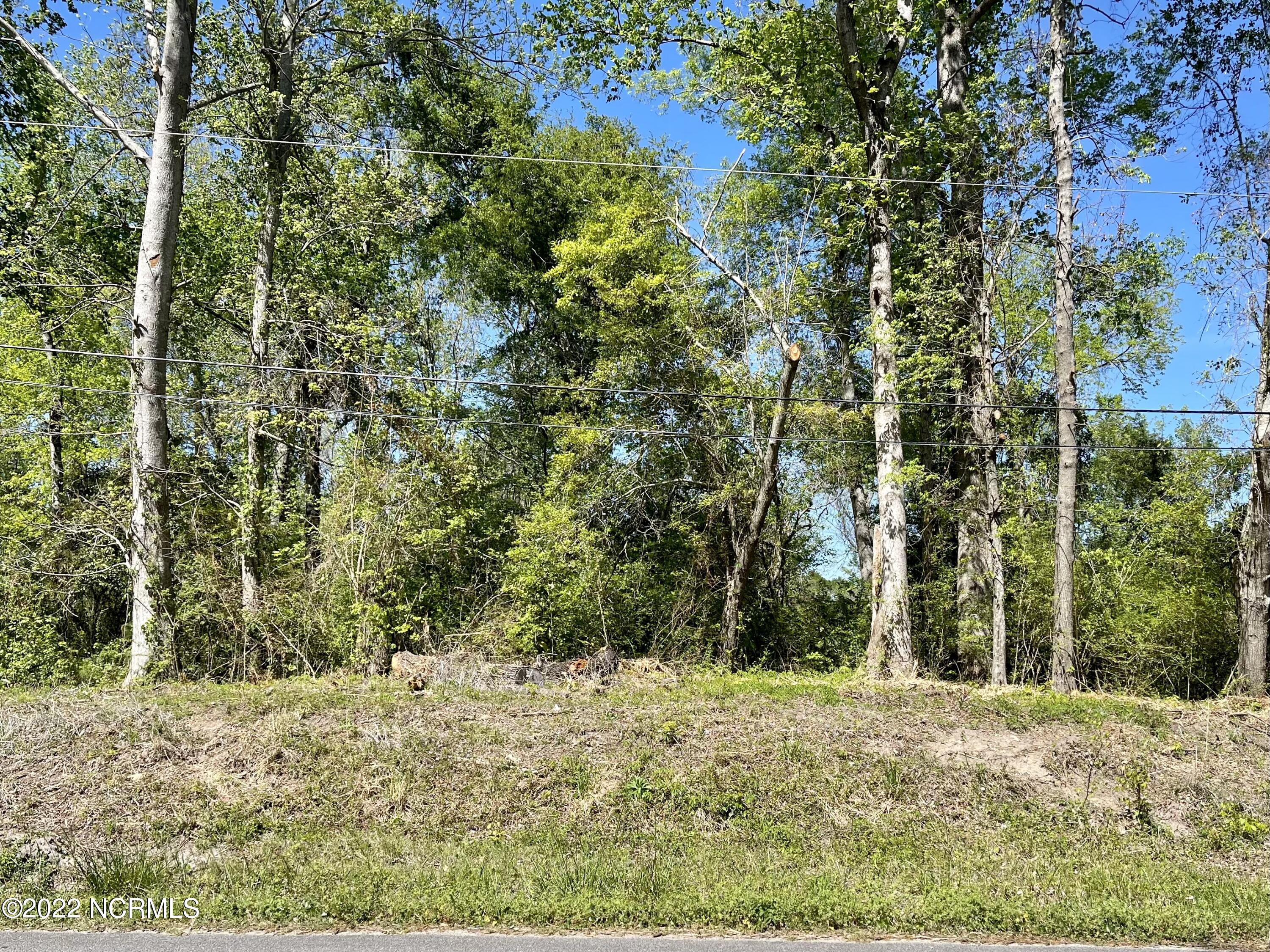 4029 Parmele Road Castle Hayne, NC 28429 - Photo 2 of 3 IMG-4096