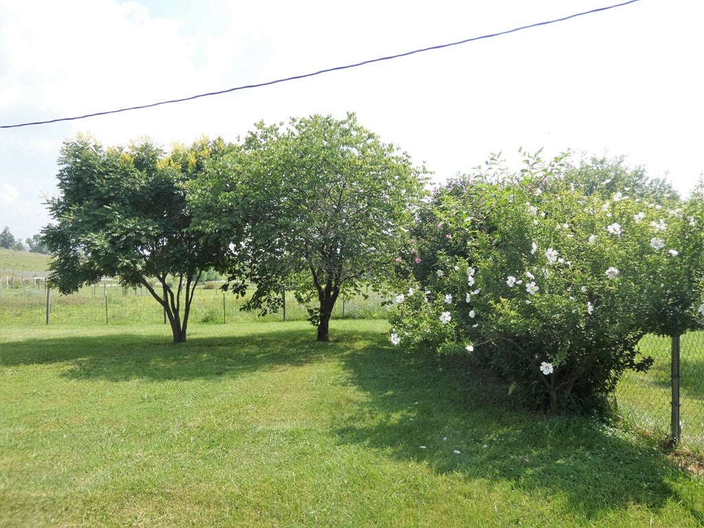 2936 Cedar Springs Road Sugar Grove, VA 24375 - Photo 44 of 47 Gallery Image 44