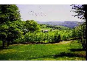Private Off Monarch Hill Road Tunbridge, VT 05077 - Photo 1 of 2