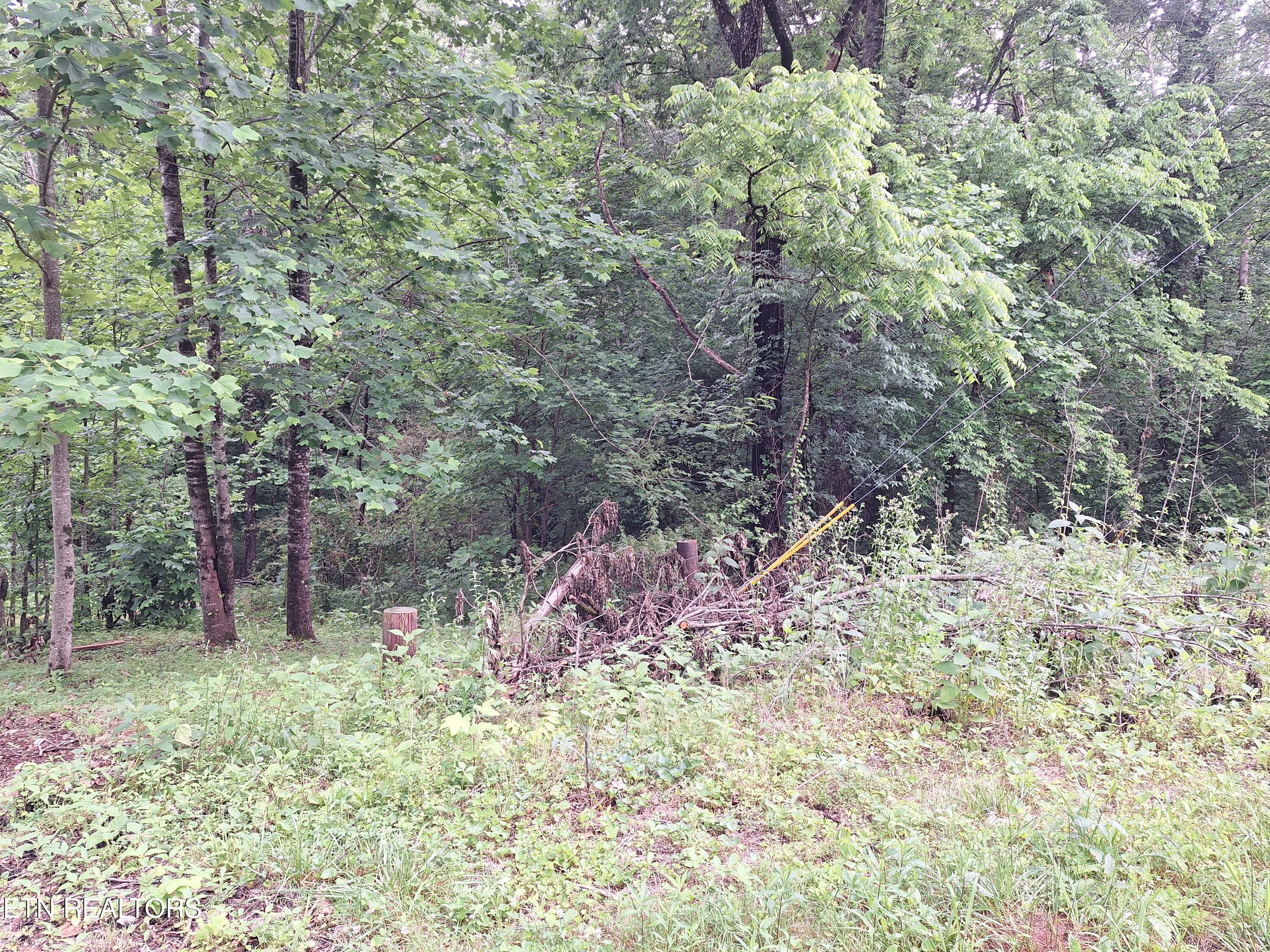 160 Mountain Road Tellico Plains, TN 37385 - Photo 3 of 10 20260521_181228