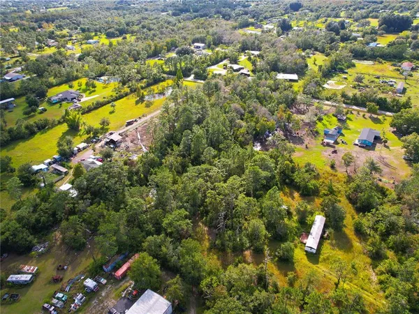 a view of a flower in a garden with a flower garden