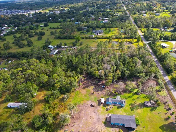 a view of a lush green forest with lawn chairs
